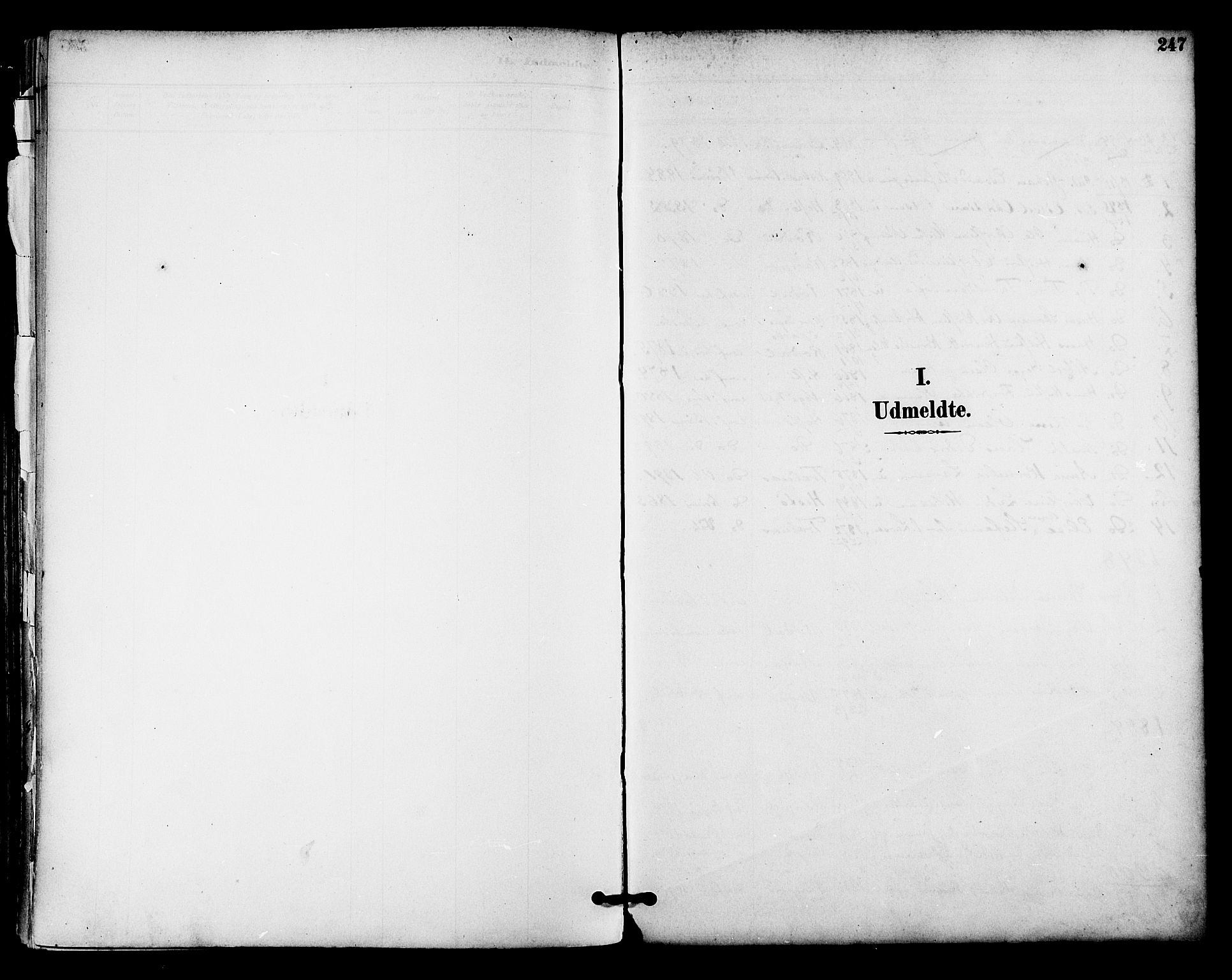 Ministerialprotokoller, klokkerbøker og fødselsregistre - Nordland, SAT/A-1459/813/L0200: Parish register (official) no. 813A10, 1886-1900, p. 247