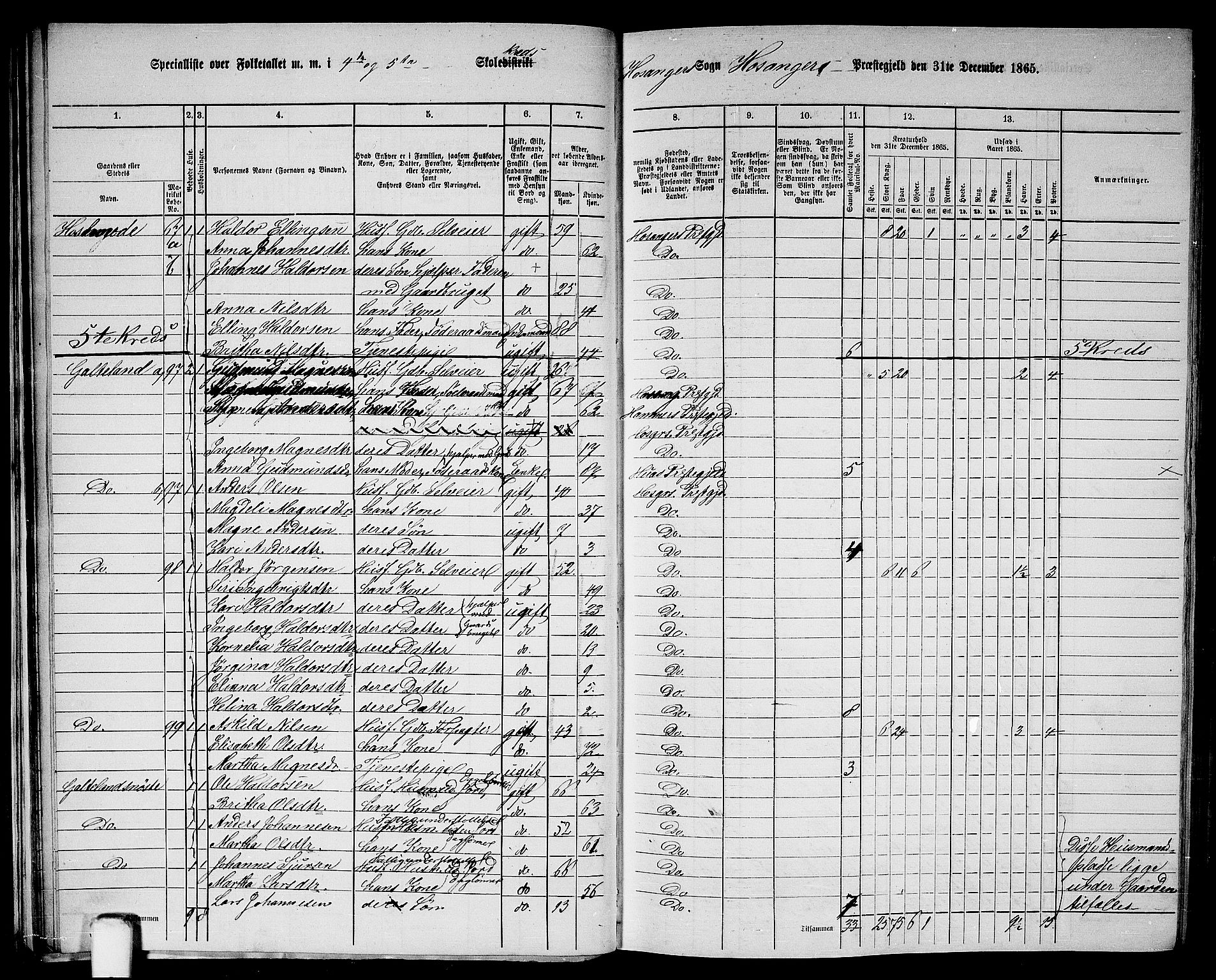 RA, 1865 census for Hosanger, 1865, p. 36