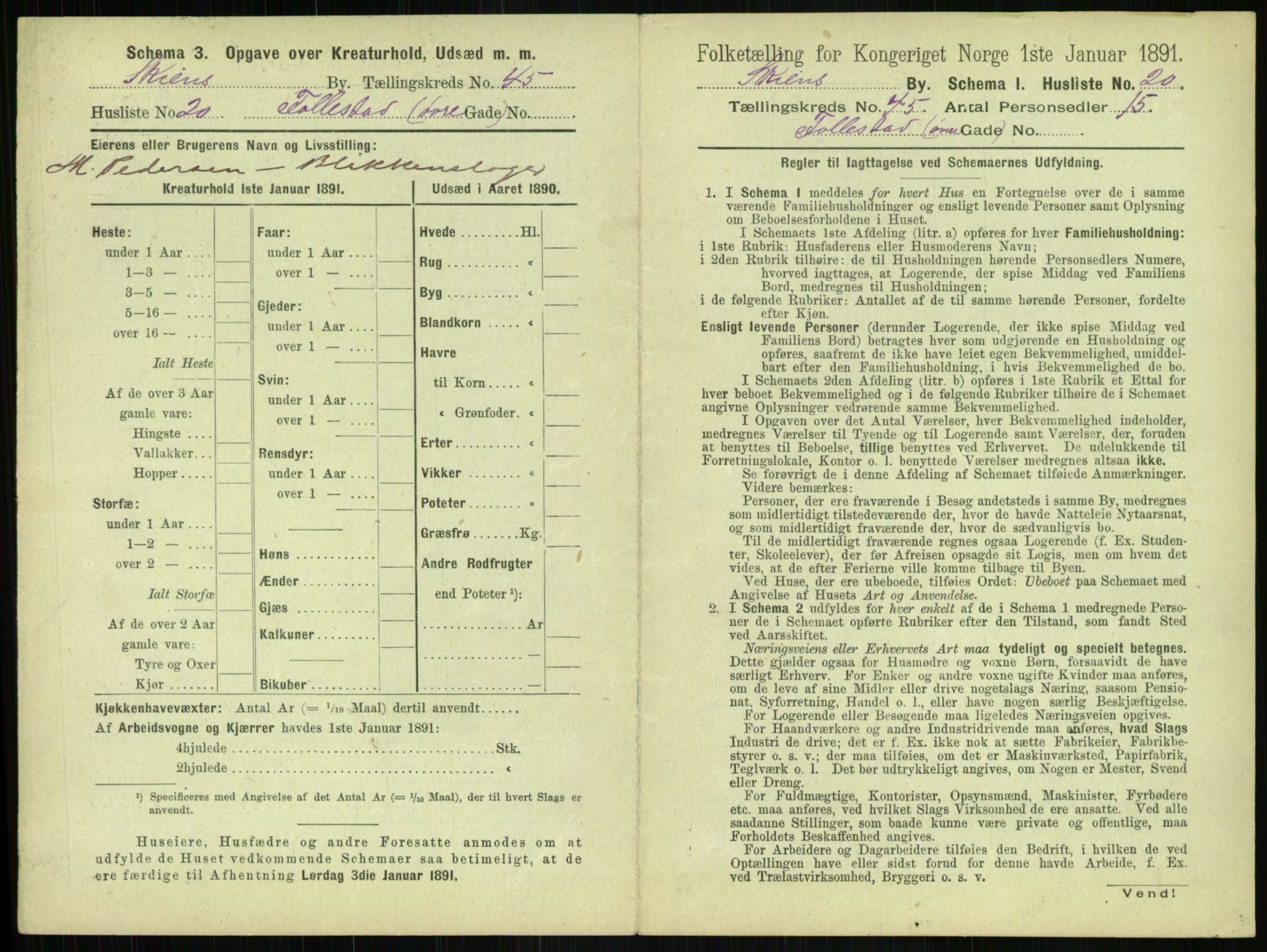 RA, 1891 census for 0806 Skien, 1891, p. 1604