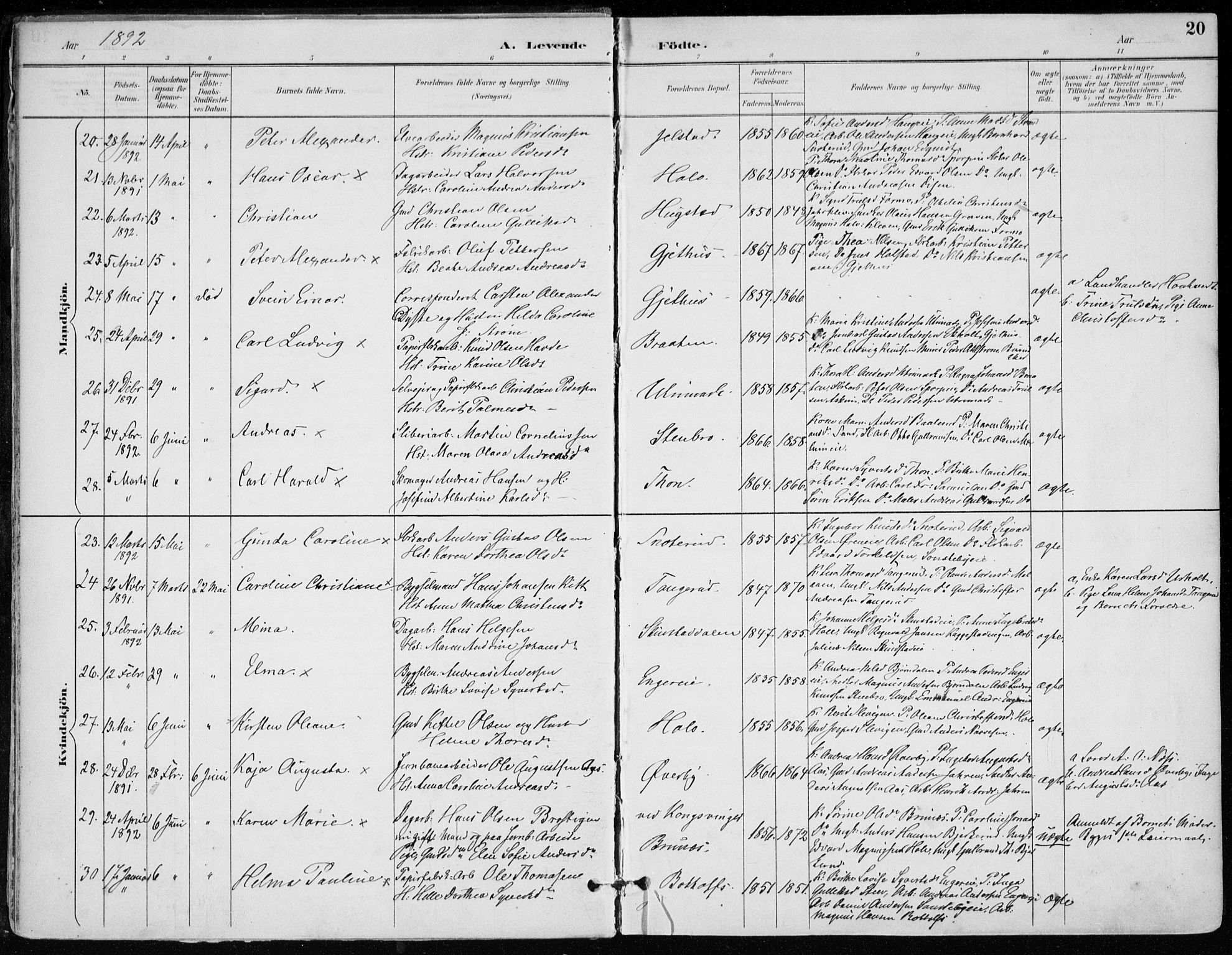 Modum kirkebøker, AV/SAKO-A-234/F/Fa/L0012: Parish register (official) no. 12, 1890-1898, p. 20