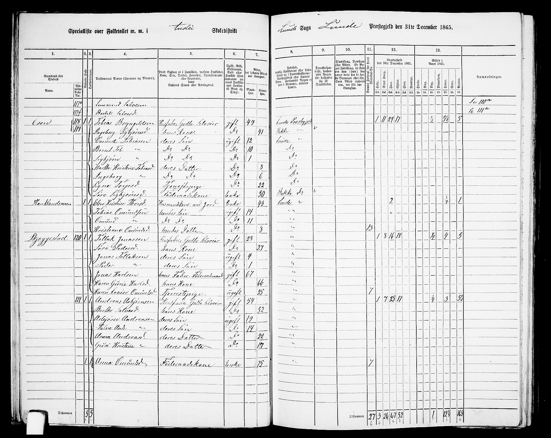 RA, 1865 census for Lund, 1865, p. 46