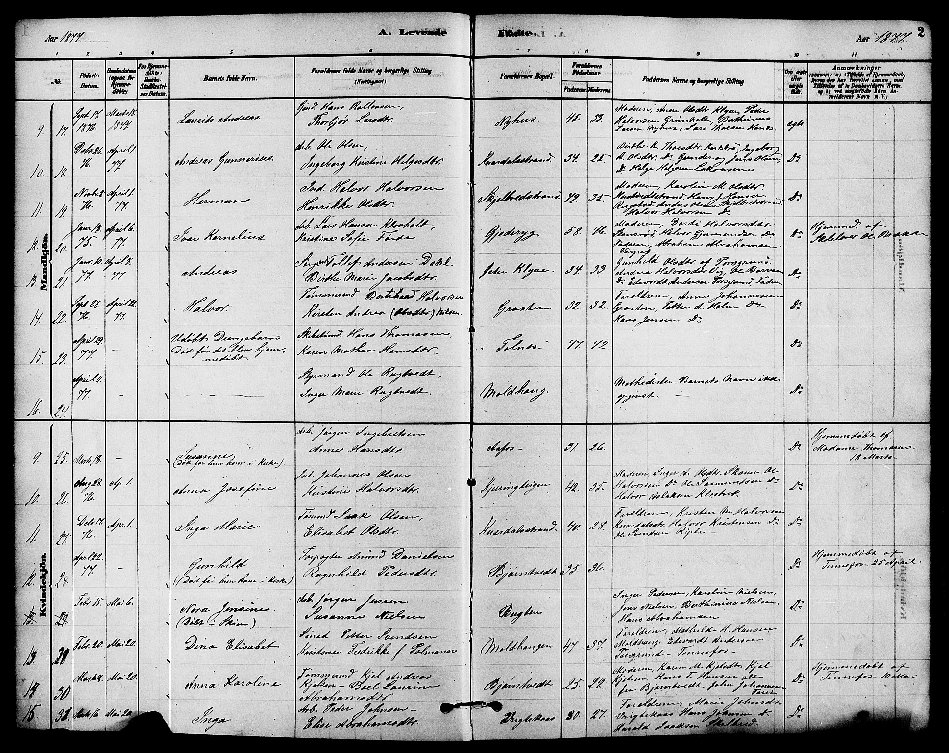 Solum kirkebøker, SAKO/A-306/F/Fa/L0009: Parish register (official) no. I 9, 1877-1887, p. 2