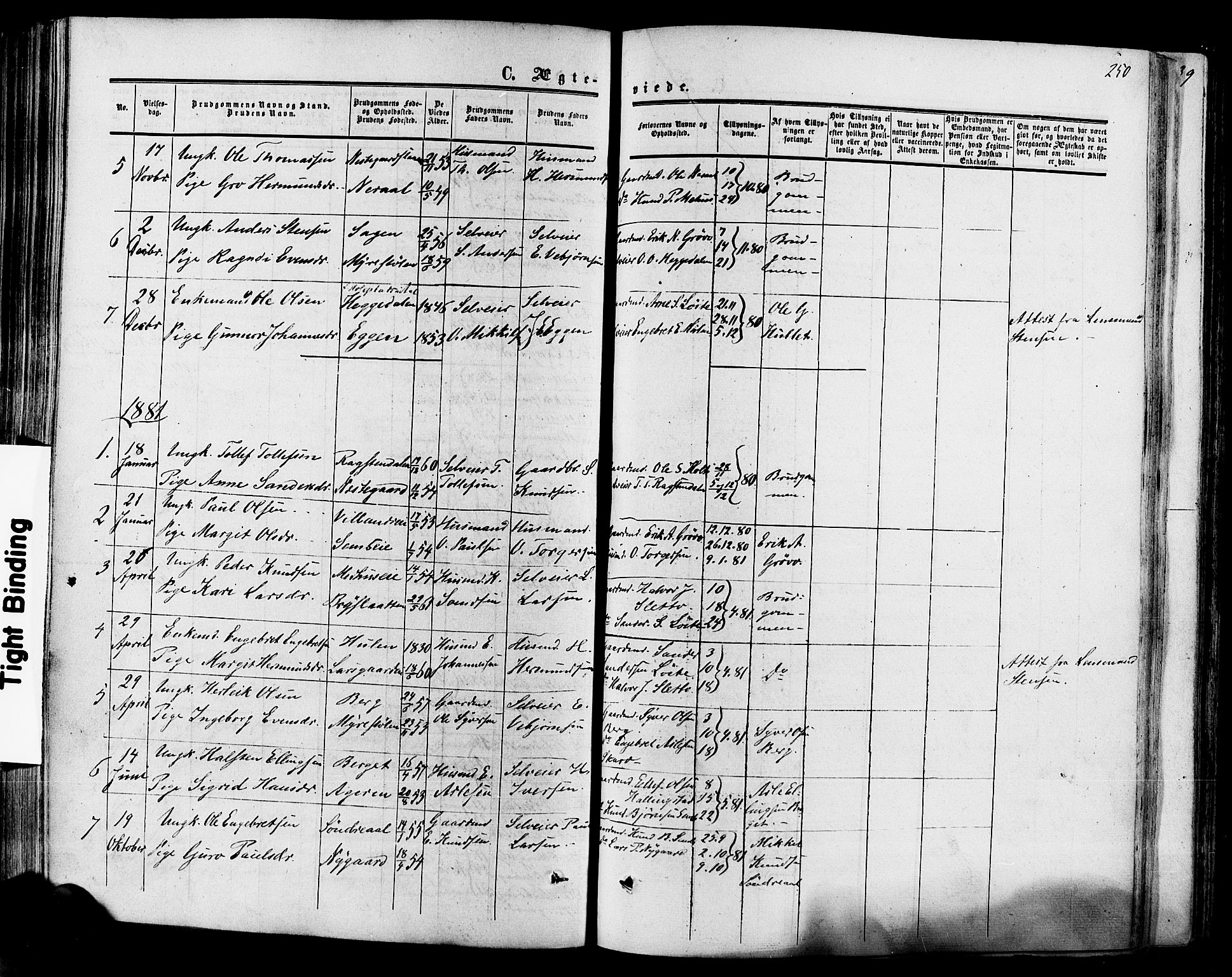 Hol kirkebøker, AV/SAKO-A-227/F/Fa/L0002: Parish register (official) no. I 2, 1870-1886, p. 250