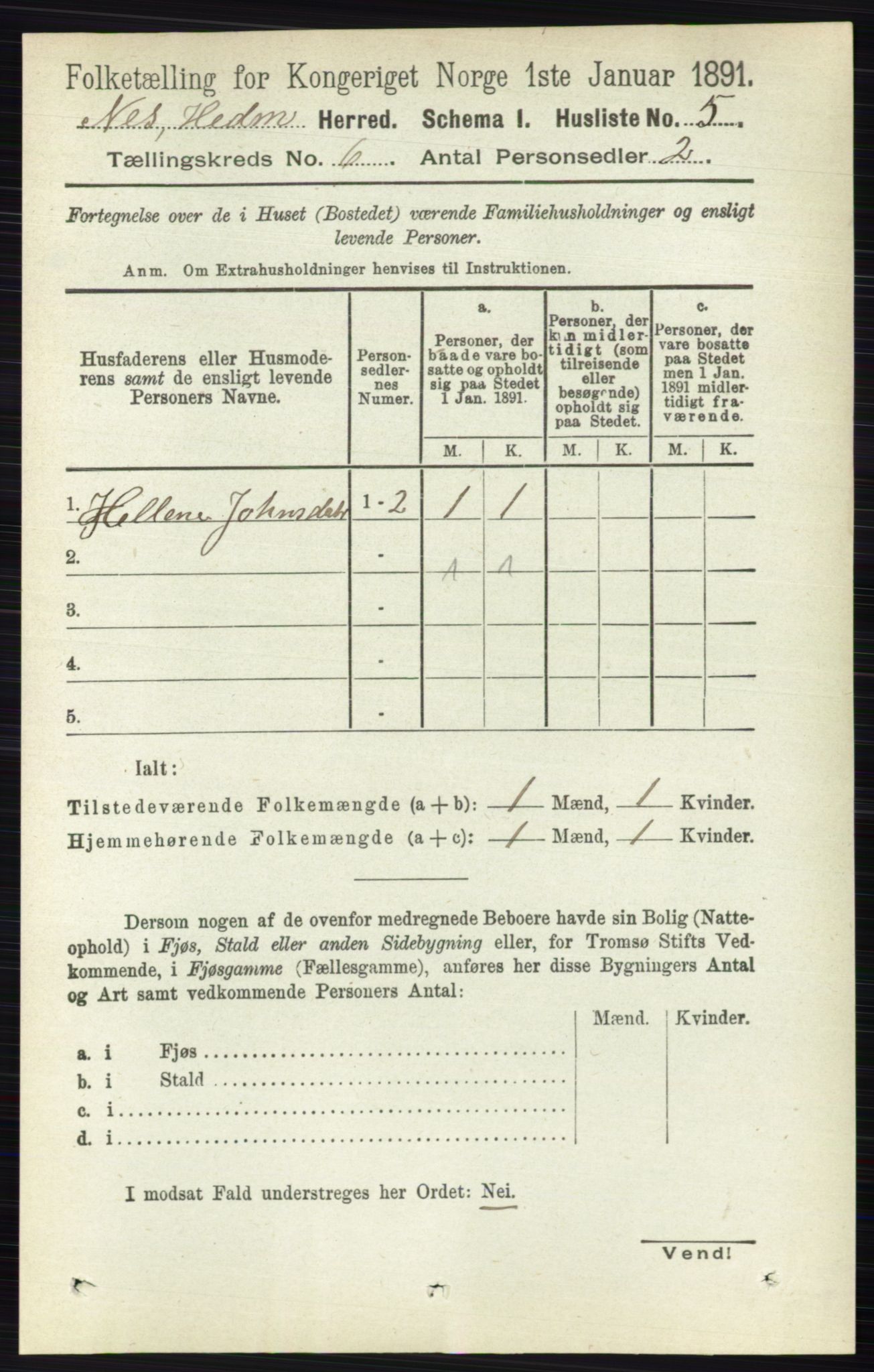 RA, 1891 census for 0411 Nes, 1891, p. 3173