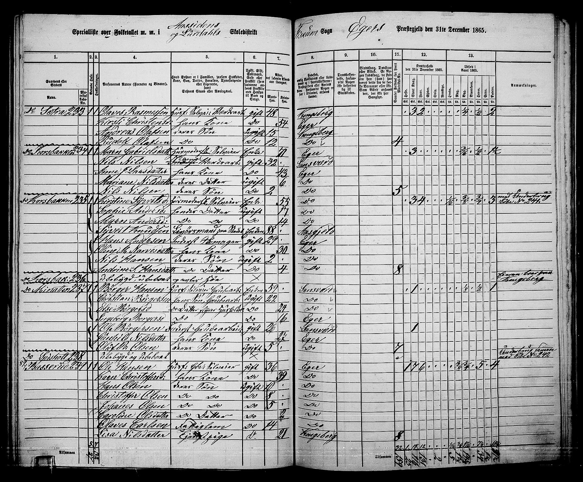 RA, 1865 census for Eiker, 1865, p. 501