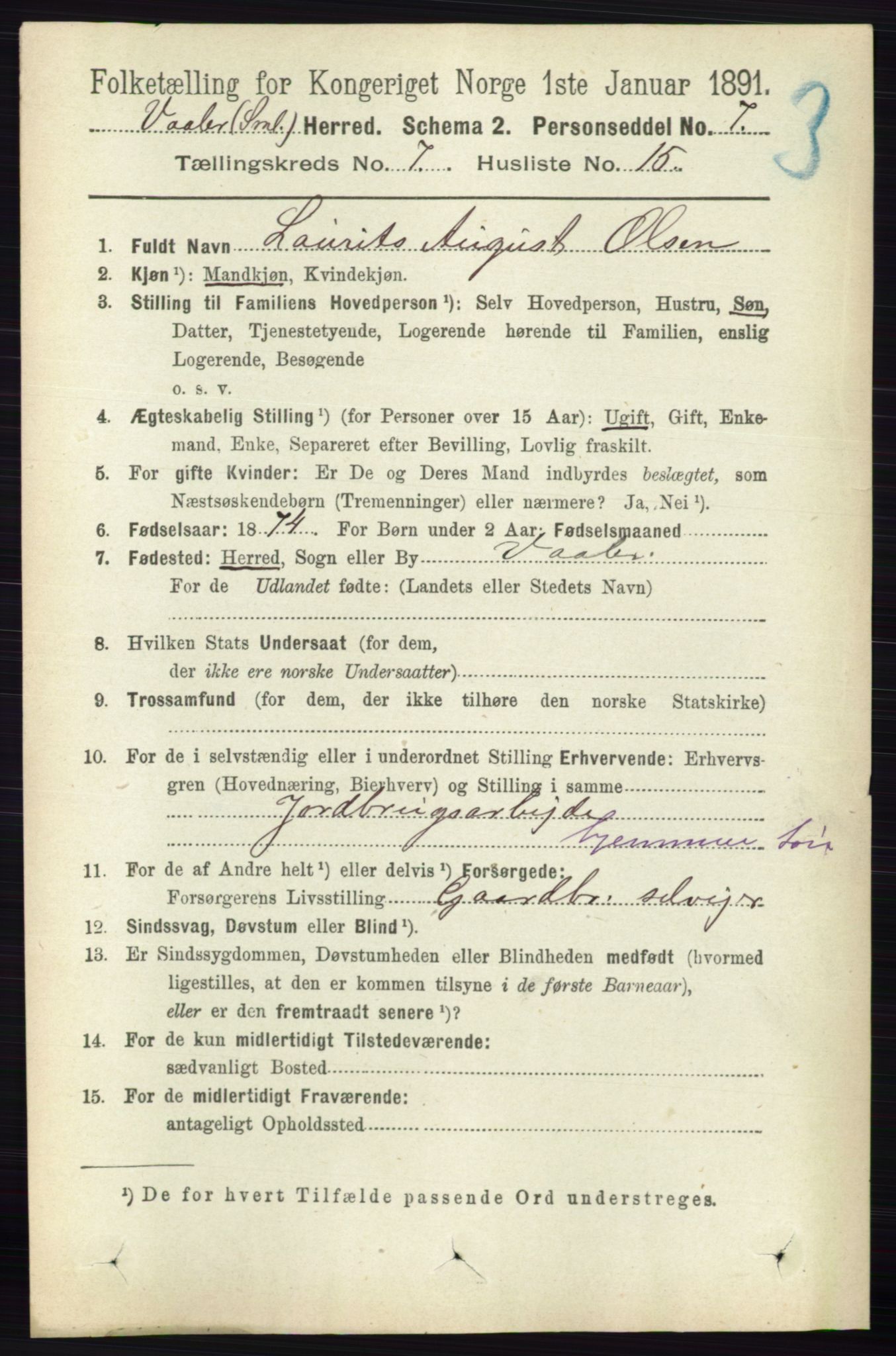 RA, 1891 census for 0137 Våler, 1891, p. 2923