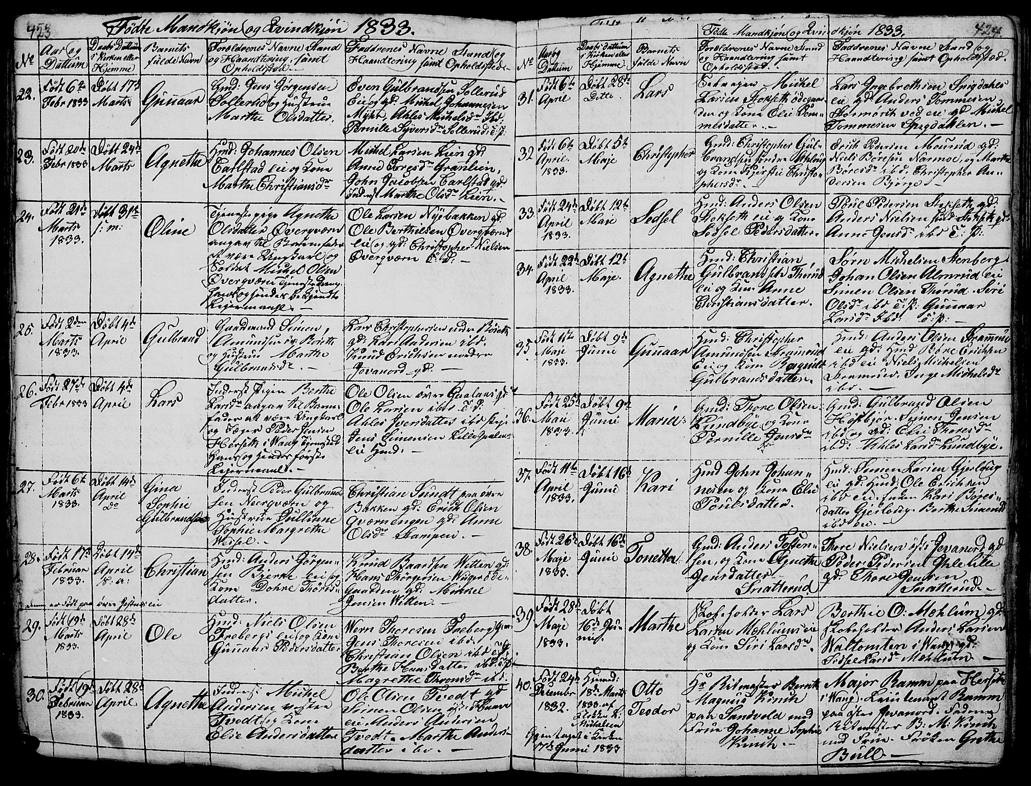 Vang prestekontor, Hedmark, AV/SAH-PREST-008/H/Ha/Hab/L0005: Parish register (copy) no. 5, 1815-1836, p. 423-424