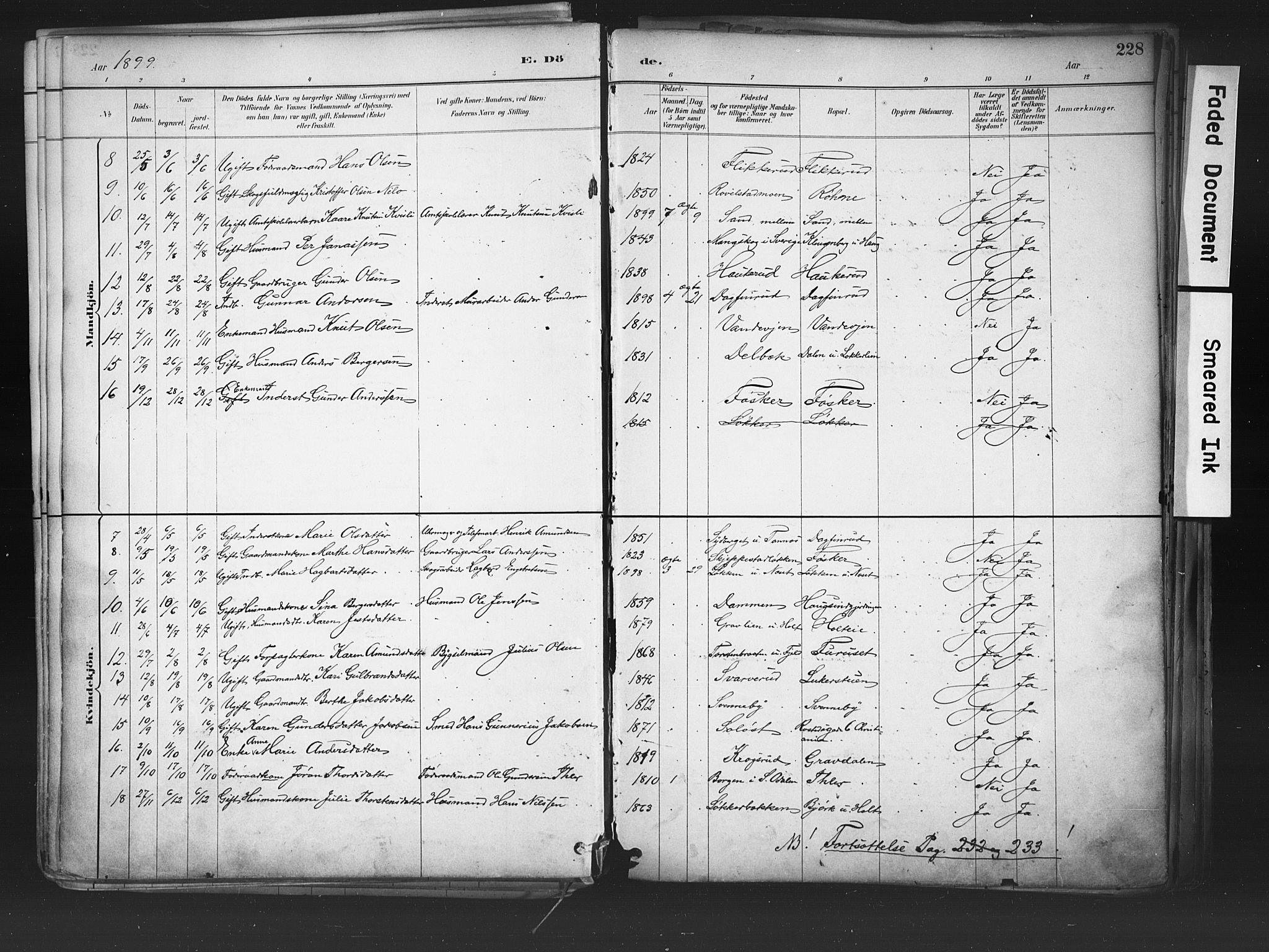 Nord-Odal prestekontor, AV/SAH-PREST-032/H/Ha/Haa/L0006: Parish register (official) no. 6, 1886-1901, p. 228