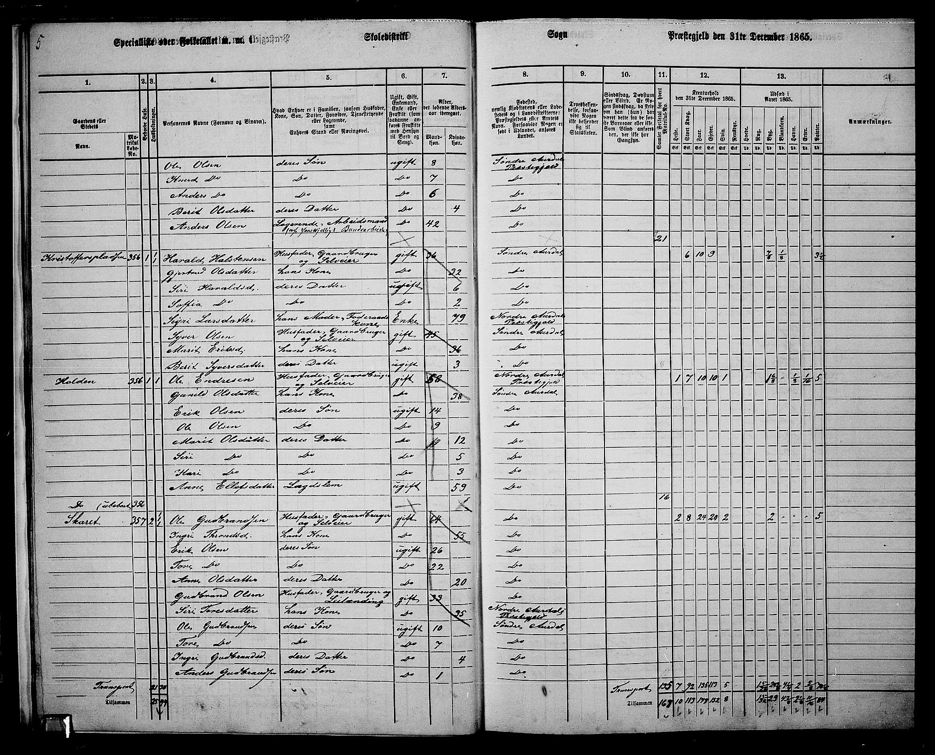 RA, 1865 census for Sør-Aurdal, 1865, p. 21