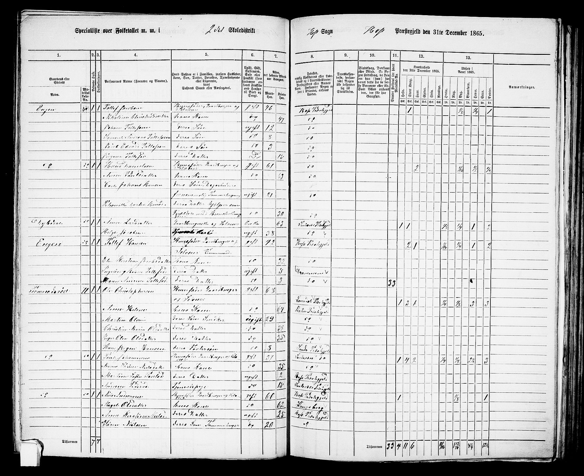 RA, 1865 census for Hof, 1865, p. 100