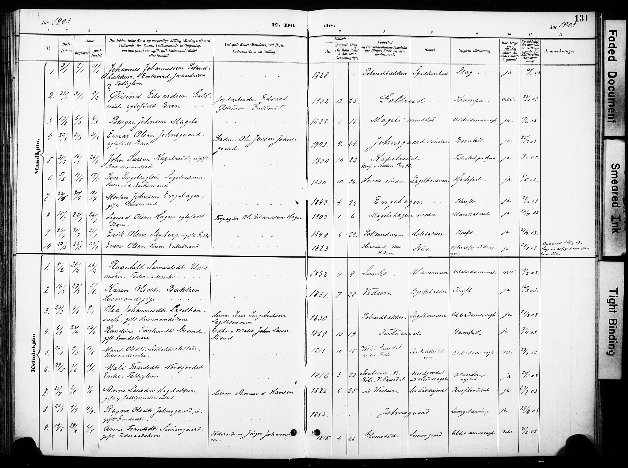 Øyer prestekontor, SAH/PREST-084/H/Ha/Haa/L0011: Parish register (official) no. 11, 1894-1905, p. 131