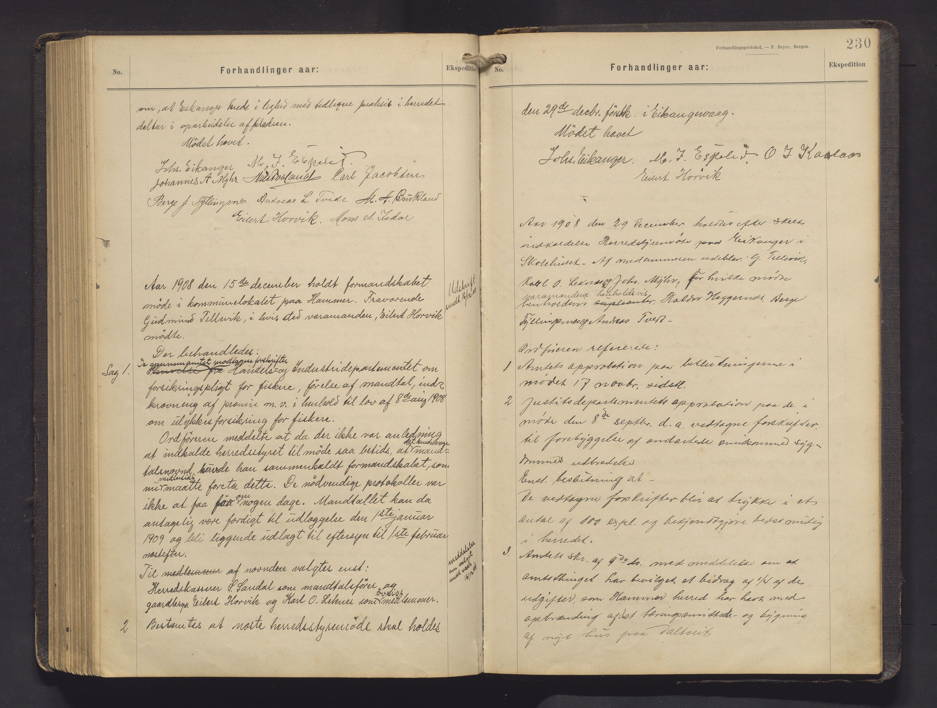 Hamre kommune. Formannskapet, IKAH/1254-021/A/Aa/L0005: Møtebok for formannskap, heradsstyre og soknestyra i Hamre og Åsane, 1899-1909, p. 230