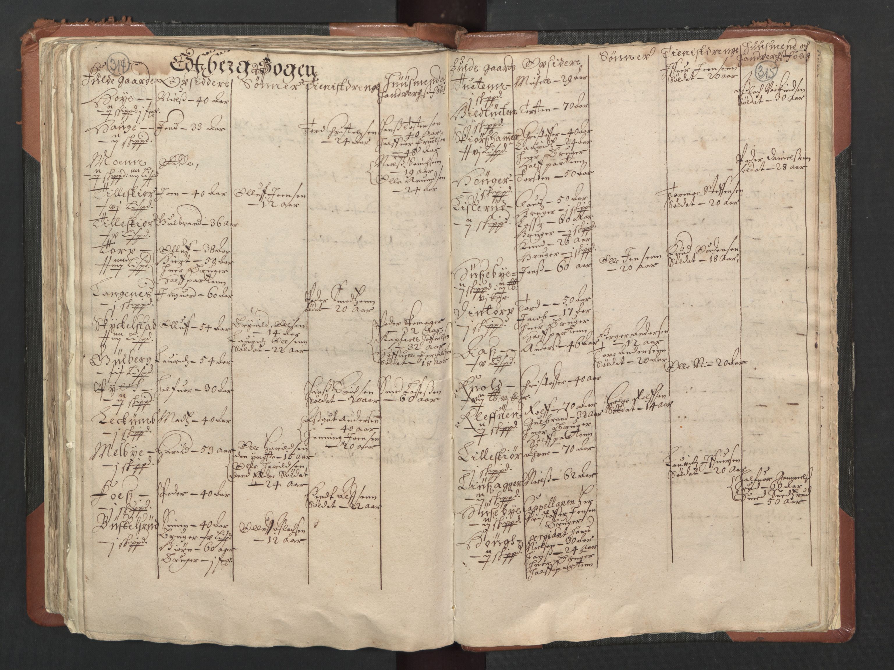 RA, Bailiff's Census 1664-1666, no. 1: Modern Østfold county, 1664, p. 314-315