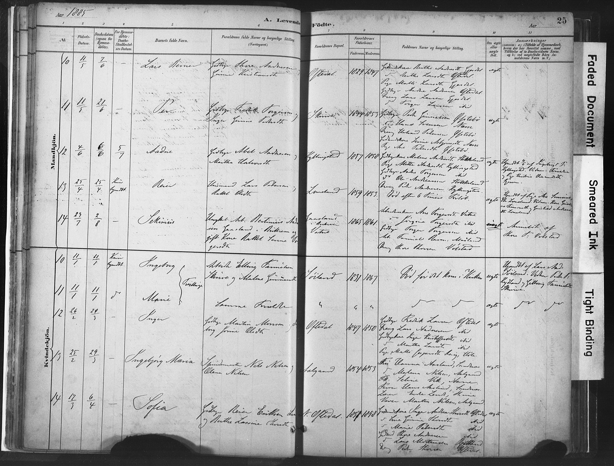 Lye sokneprestkontor, AV/SAST-A-101794/001/30BA/L0010: Parish register (official) no. A 10, 1881-1896, p. 25