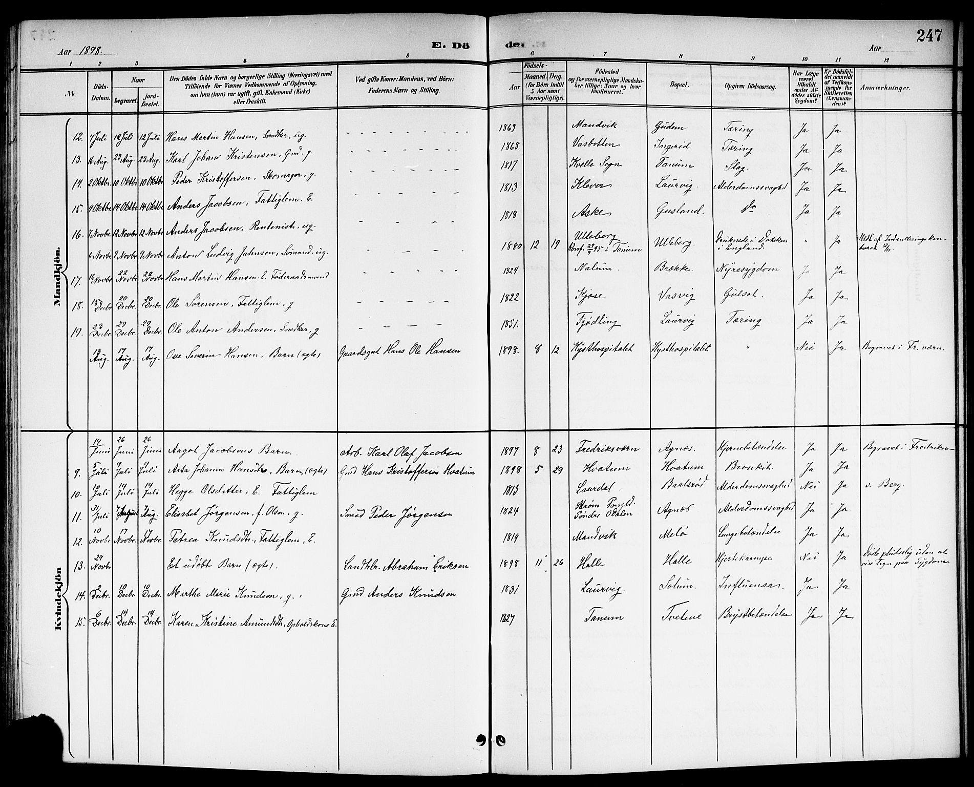 Brunlanes kirkebøker, SAKO/A-342/G/Ga/L0004: Parish register (copy) no. I 4, 1898-1921, p. 247