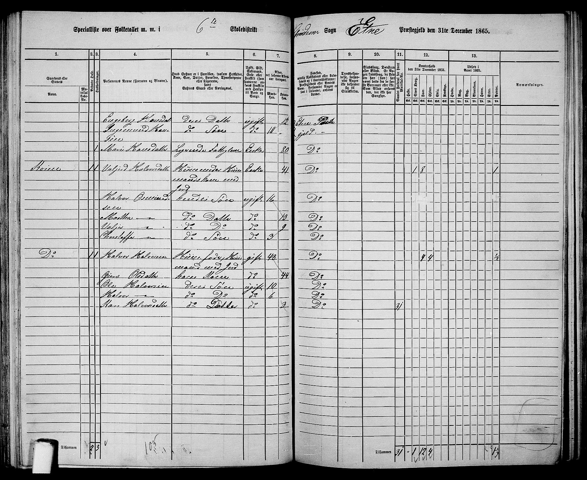 RA, 1865 census for Etne, 1865, p. 99