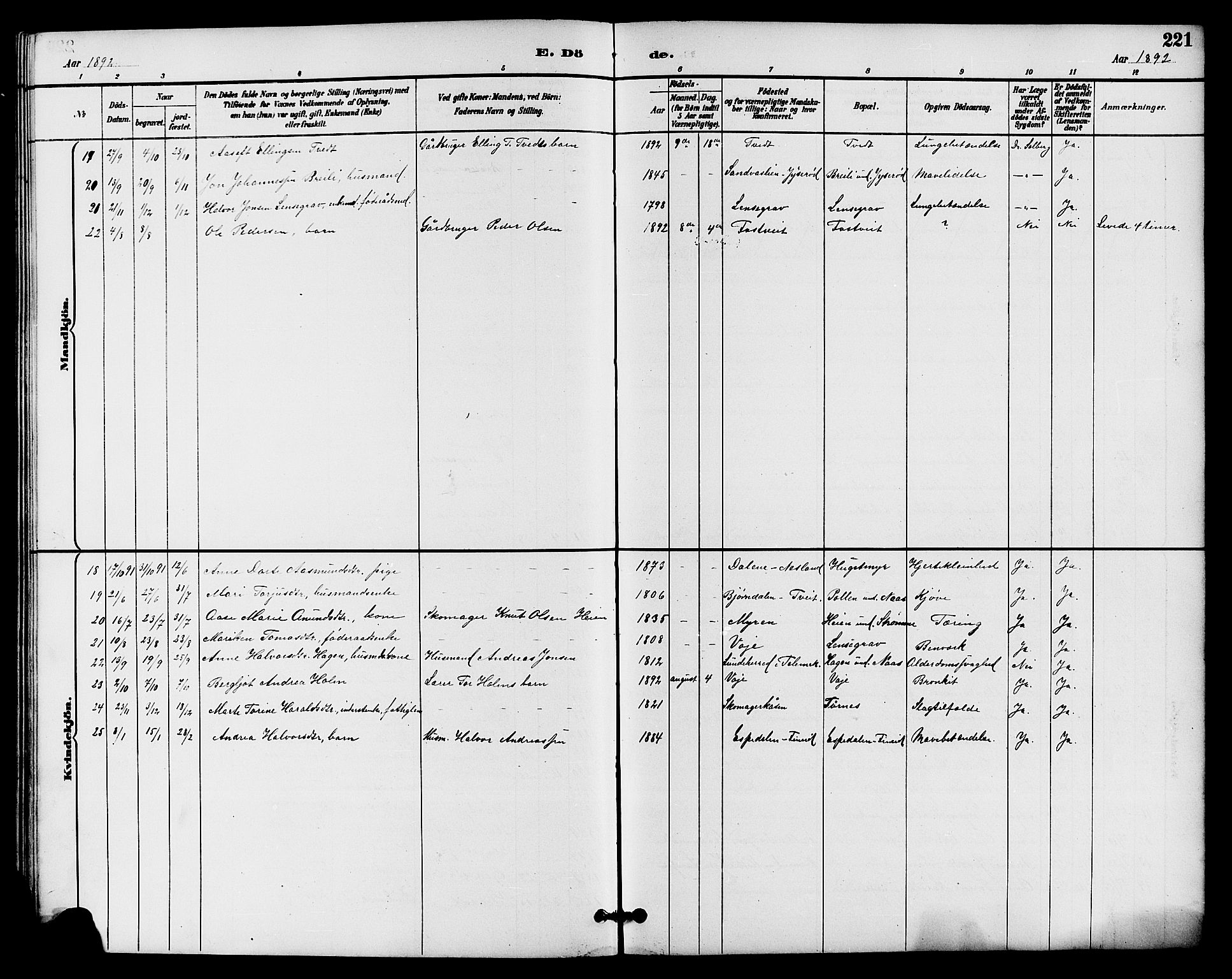 Drangedal kirkebøker, SAKO/A-258/G/Ga/L0003: Parish register (copy) no. I 3, 1887-1906, p. 221