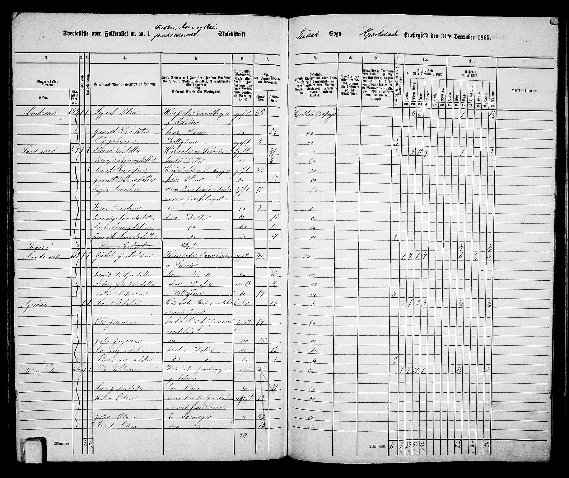 RA, 1865 census for Hjartdal, 1865, p. 119