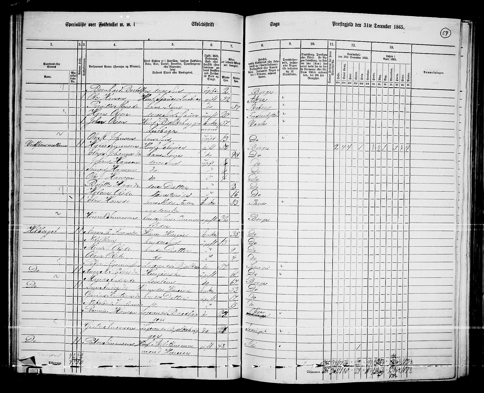 RA, 1865 census for Borge, 1865, p. 57