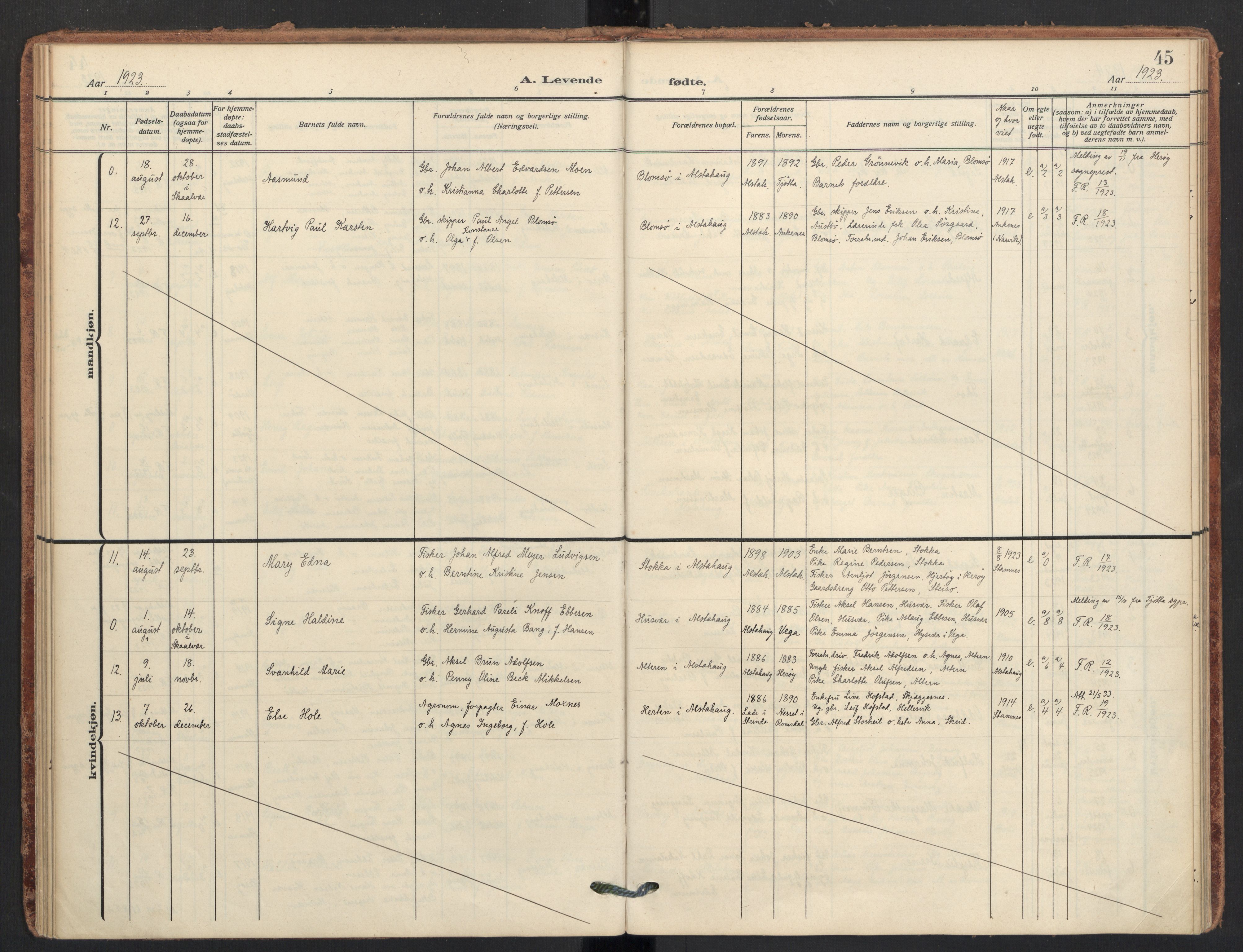 Ministerialprotokoller, klokkerbøker og fødselsregistre - Nordland, AV/SAT-A-1459/830/L0455: Parish register (official) no. 830A19, 1912-1942, p. 45