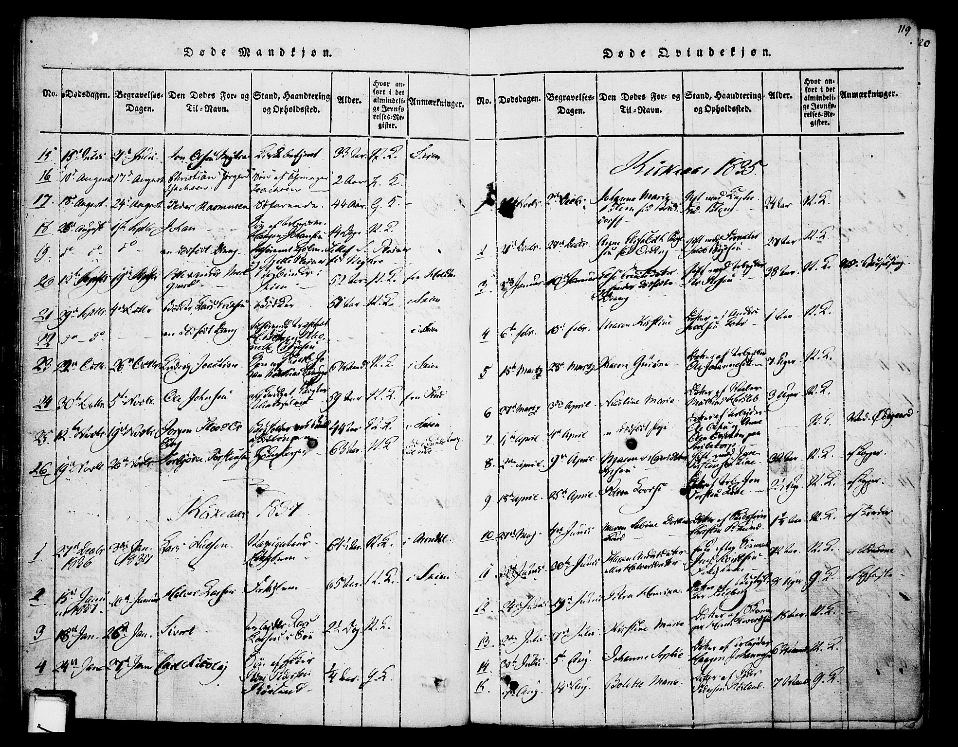 Skien kirkebøker, AV/SAKO-A-302/F/Fa/L0005: Parish register (official) no. 5, 1814-1843, p. 119