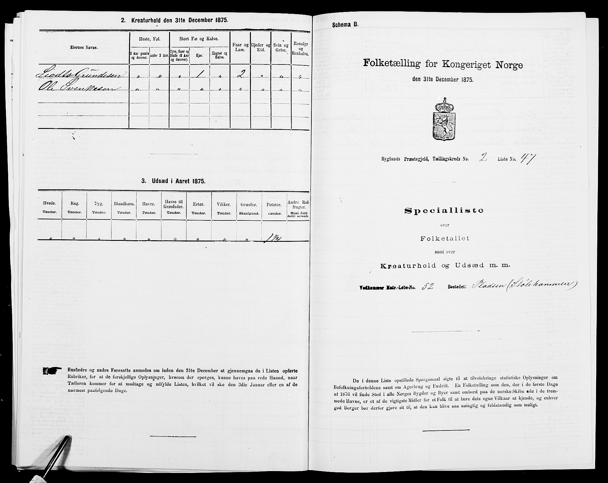 SAK, 1875 census for 0938P Bygland, 1875, p. 225