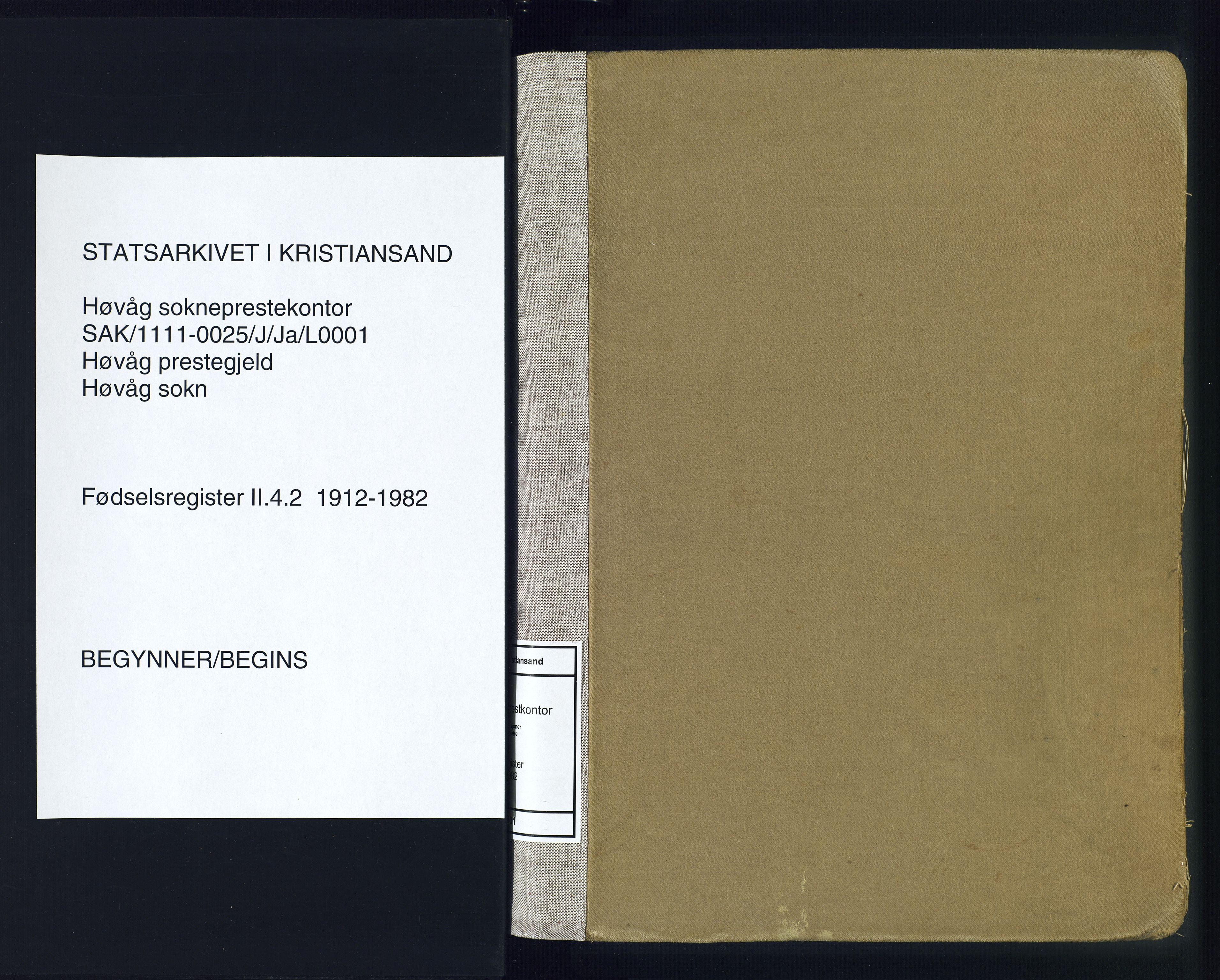 Høvåg sokneprestkontor, AV/SAK-1111-0025/J/Ja/L0001: Birth register no. II.4.2, 1916-1982