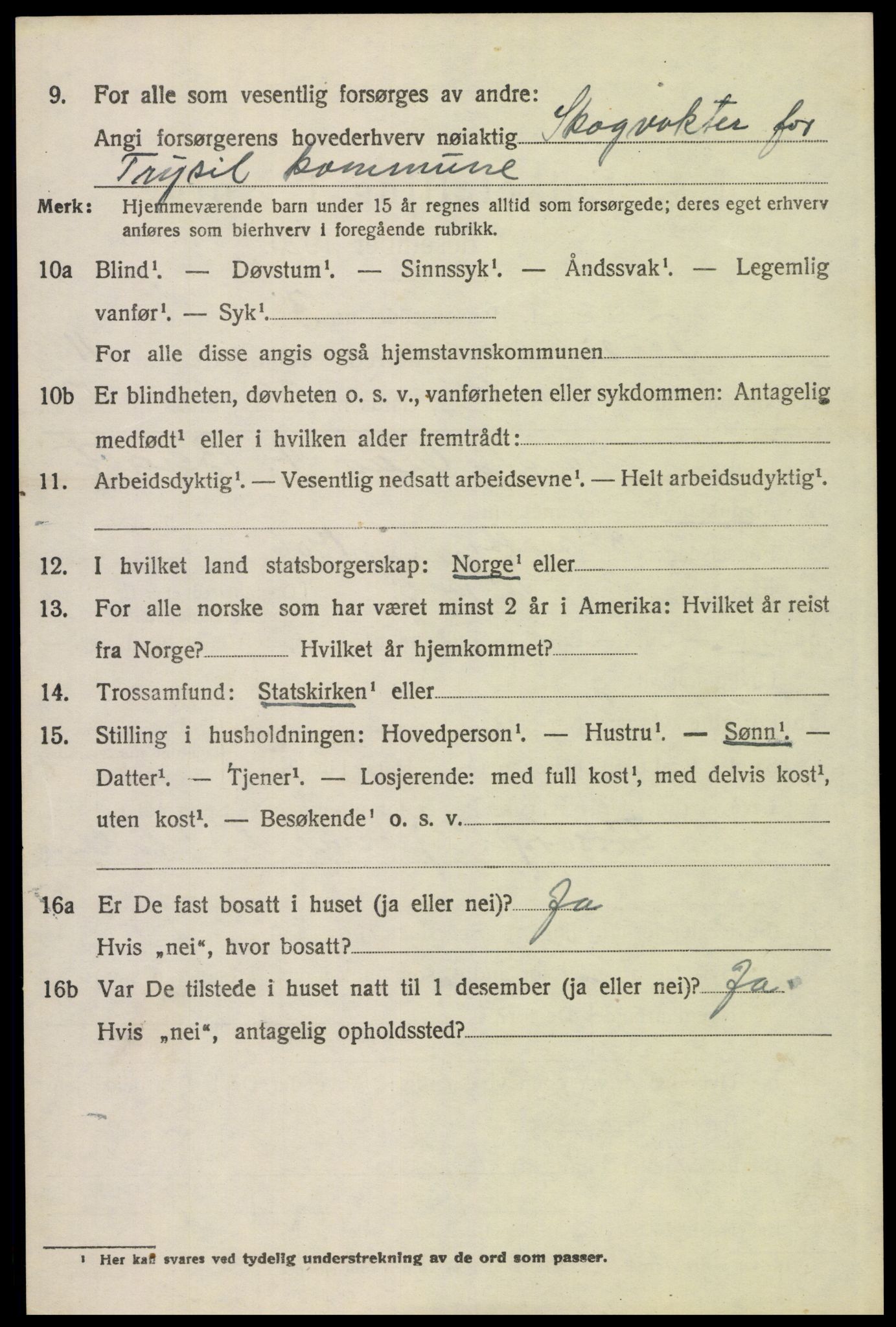 SAH, 1920 census for Trysil, 1920, p. 7060