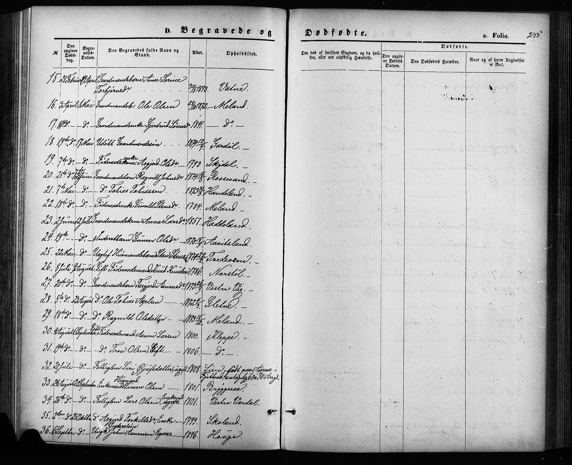 Hægebostad sokneprestkontor, SAK/1111-0024/F/Fa/Fab/L0003: Parish register (official) no. A 3, 1872-1886, p. 245
