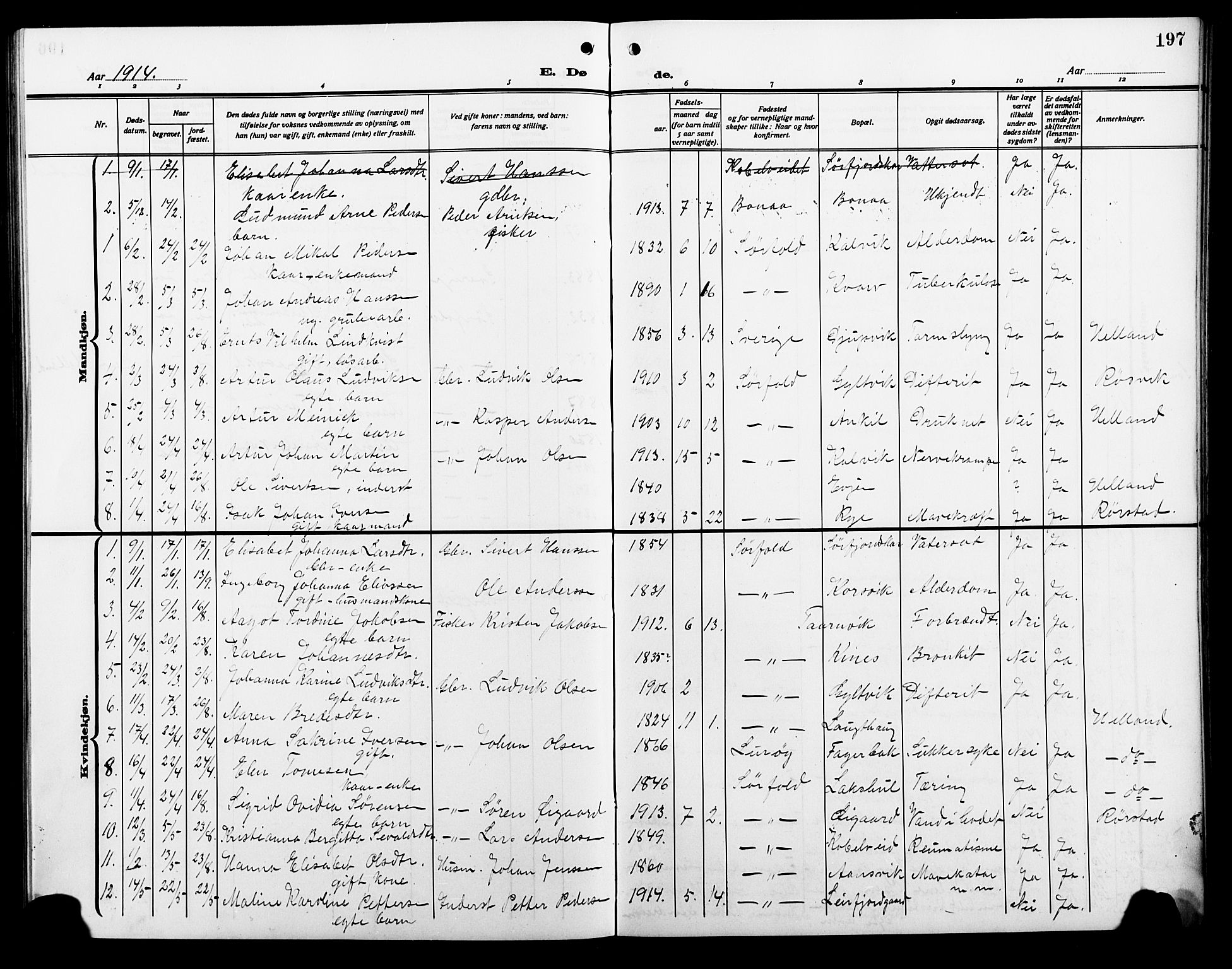 Ministerialprotokoller, klokkerbøker og fødselsregistre - Nordland, AV/SAT-A-1459/854/L0787: Parish register (copy) no. 854C03, 1913-1926, p. 197