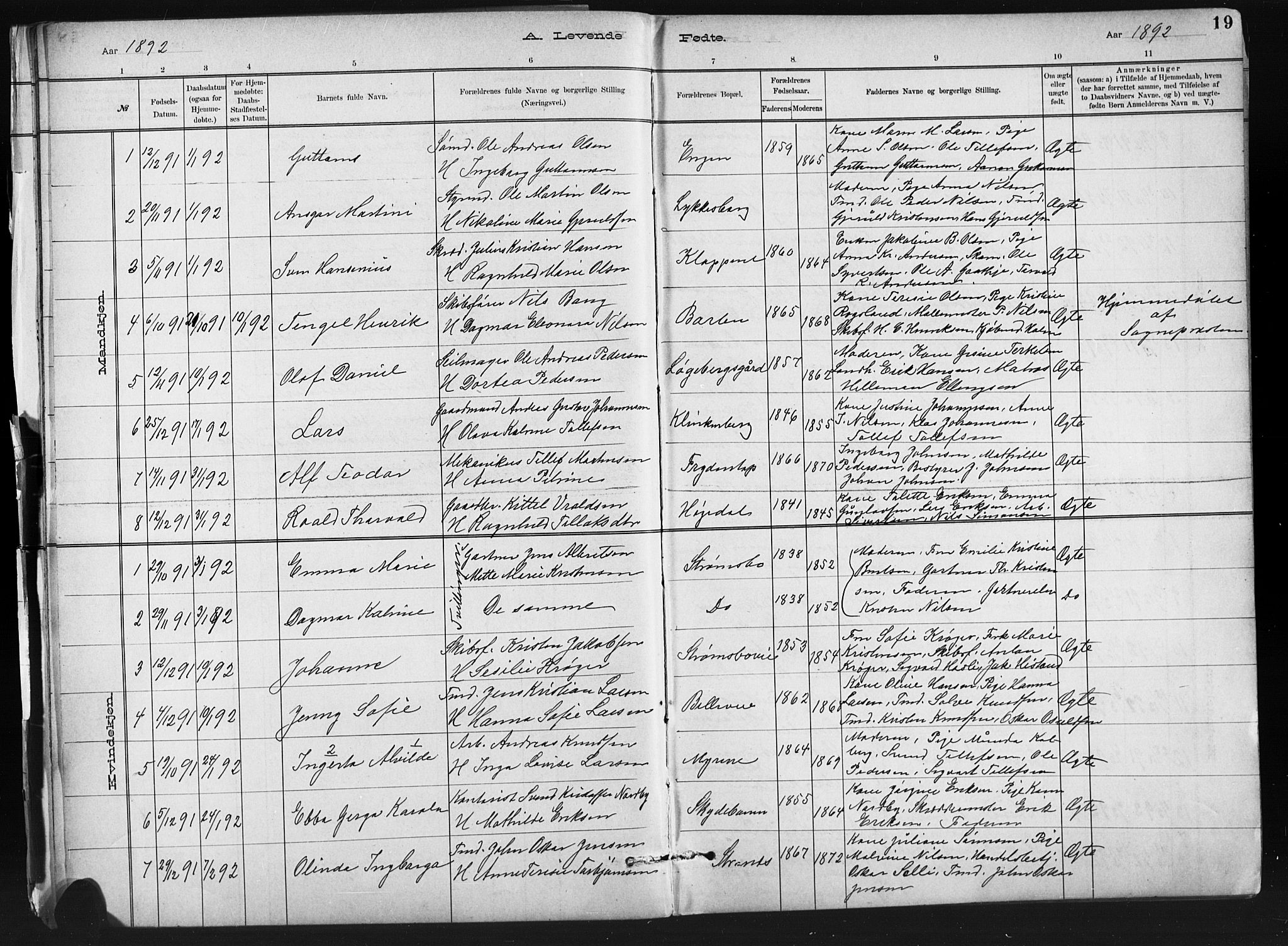 Barbu sokneprestkontor, AV/SAK-1111-0003/F/Fb/L0002: Parish register (copy) no. B 2, 1890-1922, p. 19