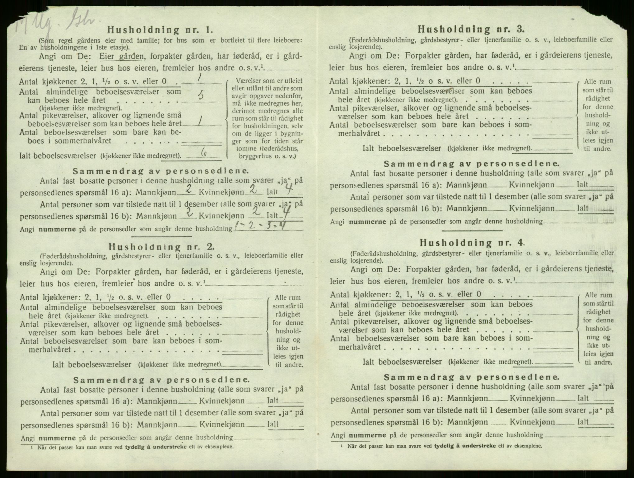 SAKO, 1920 census for Våle, 1920, p. 997