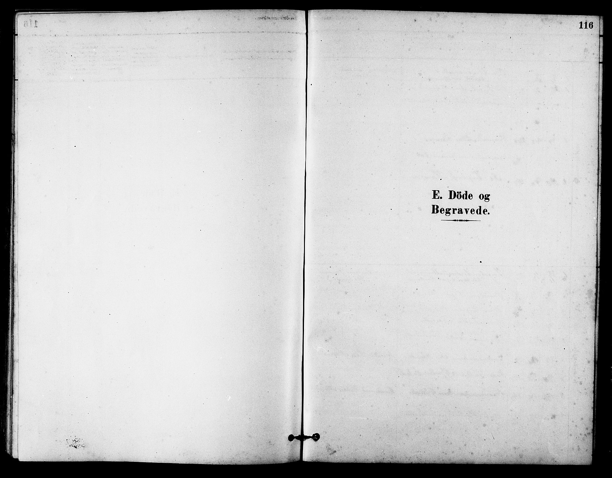 Ministerialprotokoller, klokkerbøker og fødselsregistre - Sør-Trøndelag, SAT/A-1456/631/L0514: Parish register (copy) no. 631C02, 1879-1912, p. 116