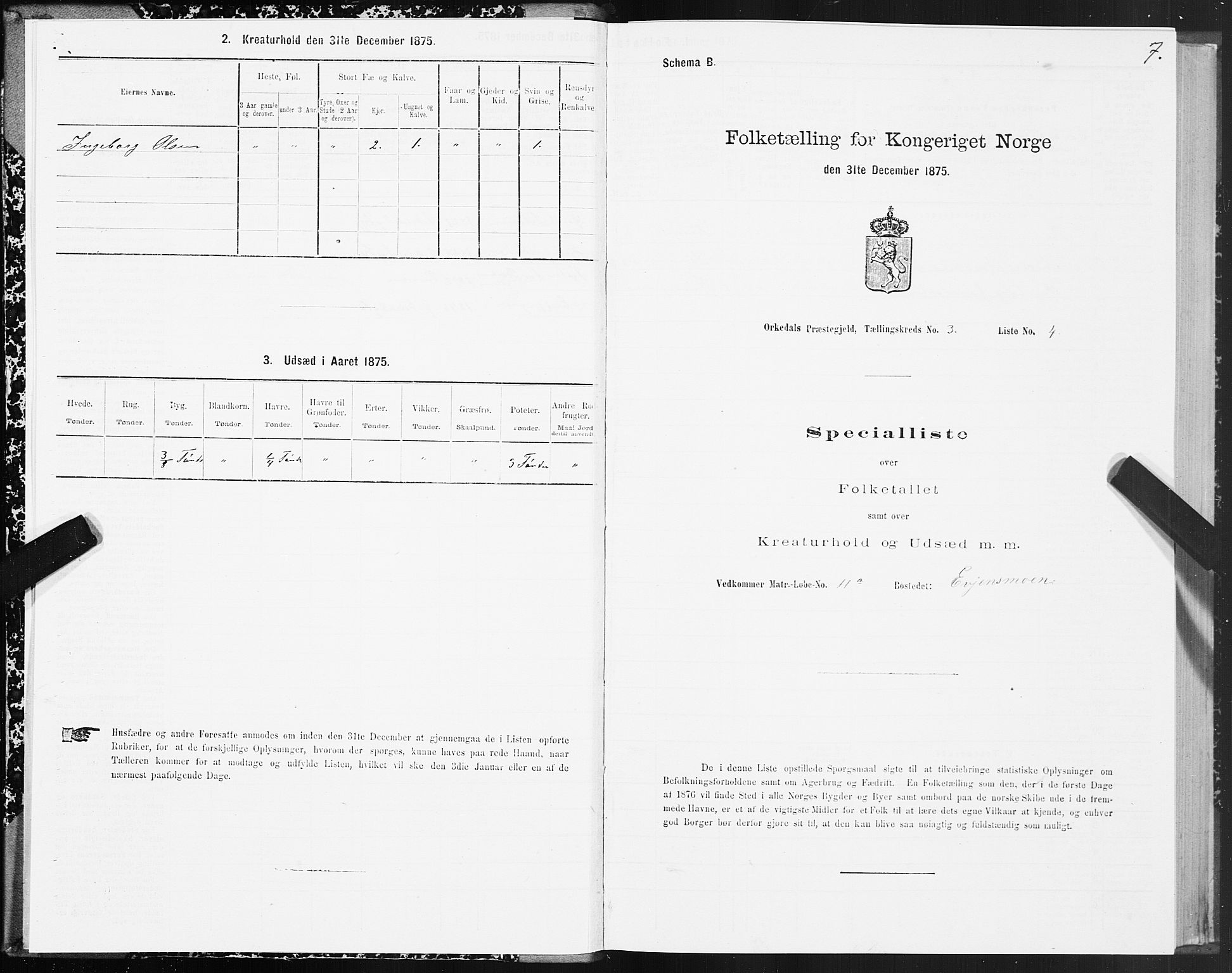 SAT, 1875 census for 1638P Orkdal, 1875, p. 2007