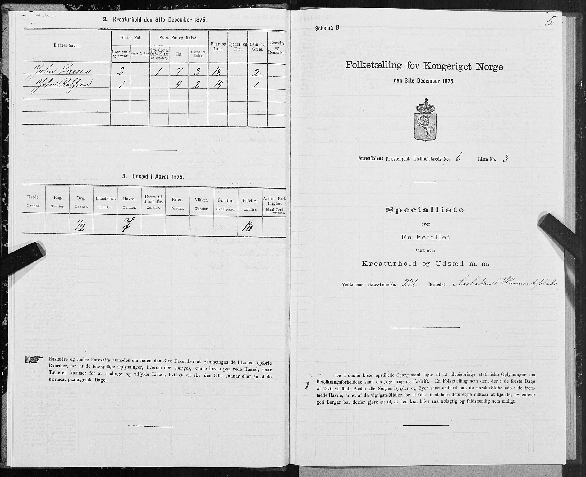 SAT, 1875 census for 1566P Surnadal, 1875, p. 3005