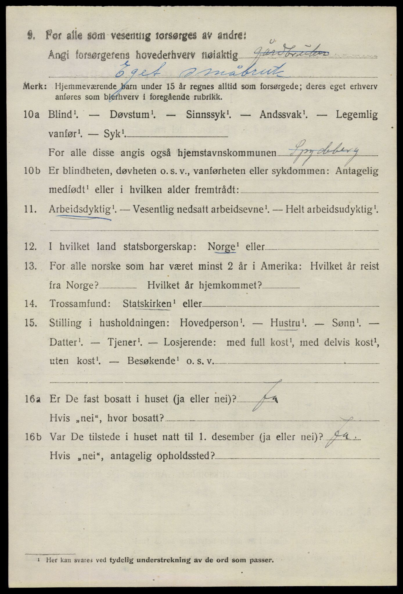 SAO, 1920 census for Spydeberg, 1920, p. 5630