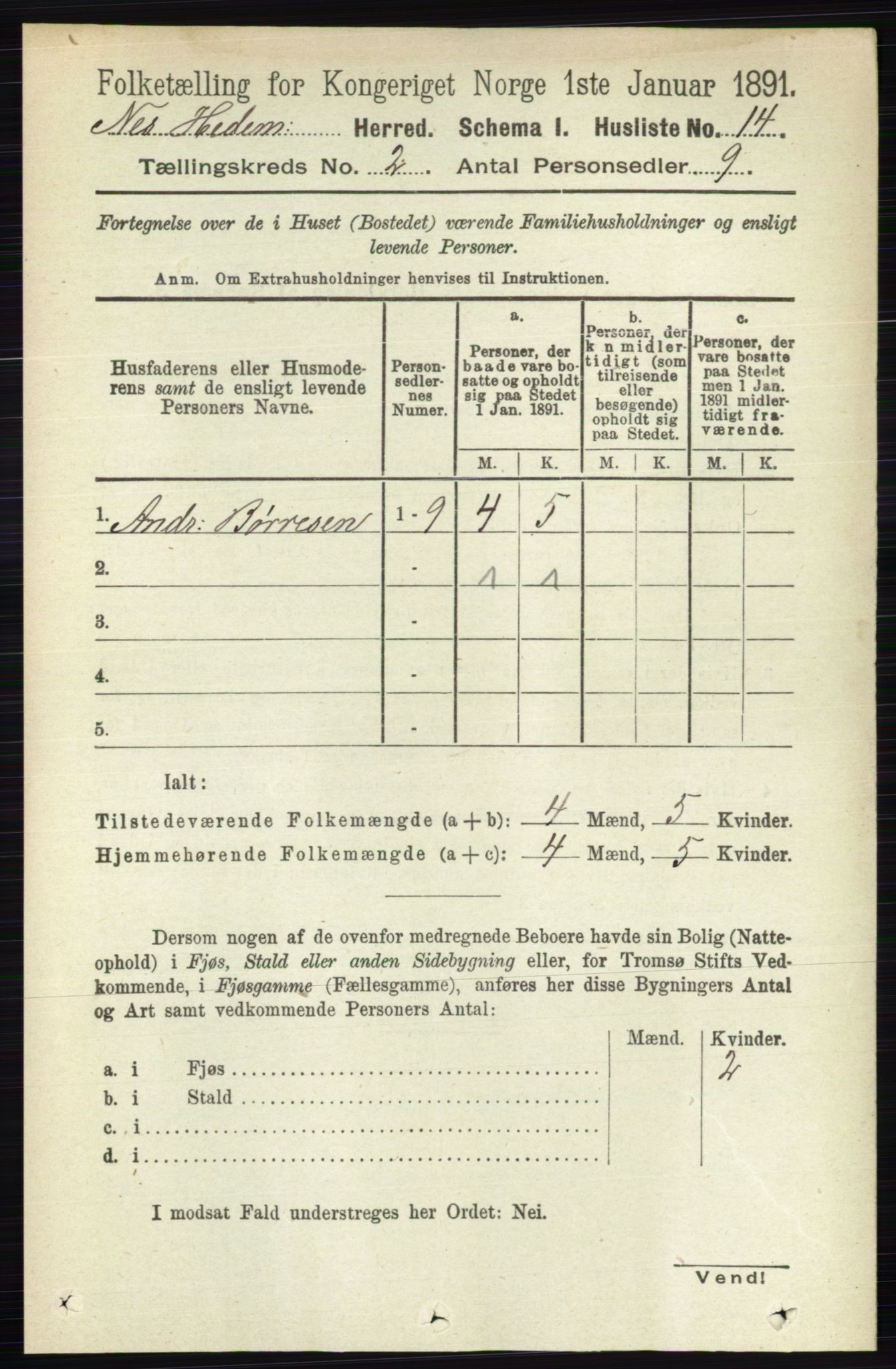 RA, 1891 census for 0411 Nes, 1891, p. 1017