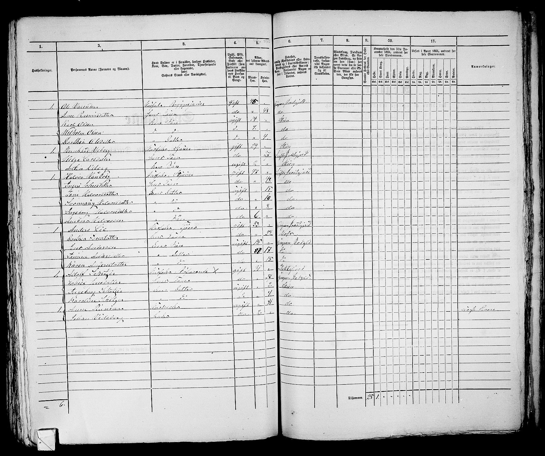 RA, 1865 census for Skien, 1865, p. 776