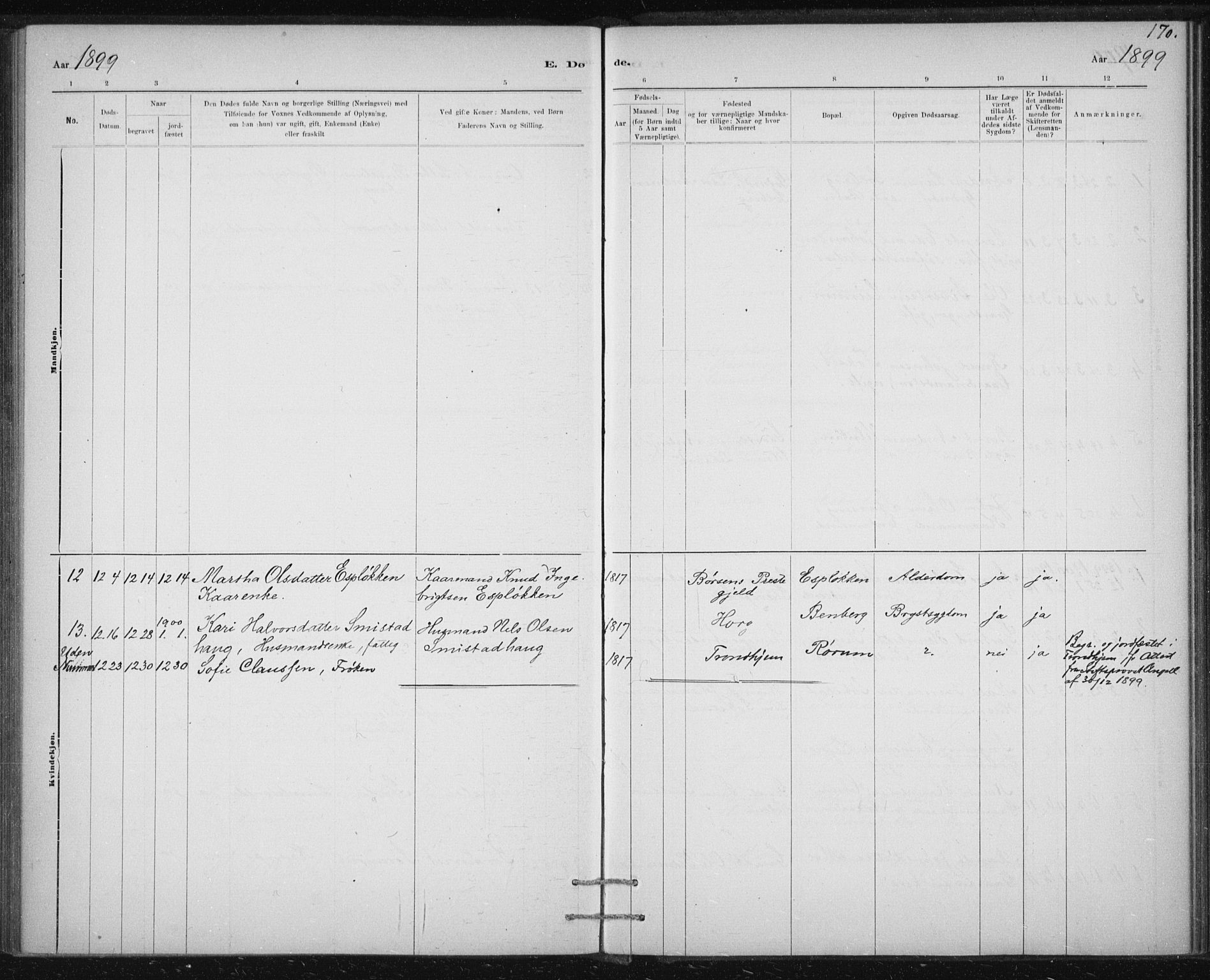 Ministerialprotokoller, klokkerbøker og fødselsregistre - Sør-Trøndelag, AV/SAT-A-1456/613/L0392: Parish register (official) no. 613A01, 1887-1906, p. 170