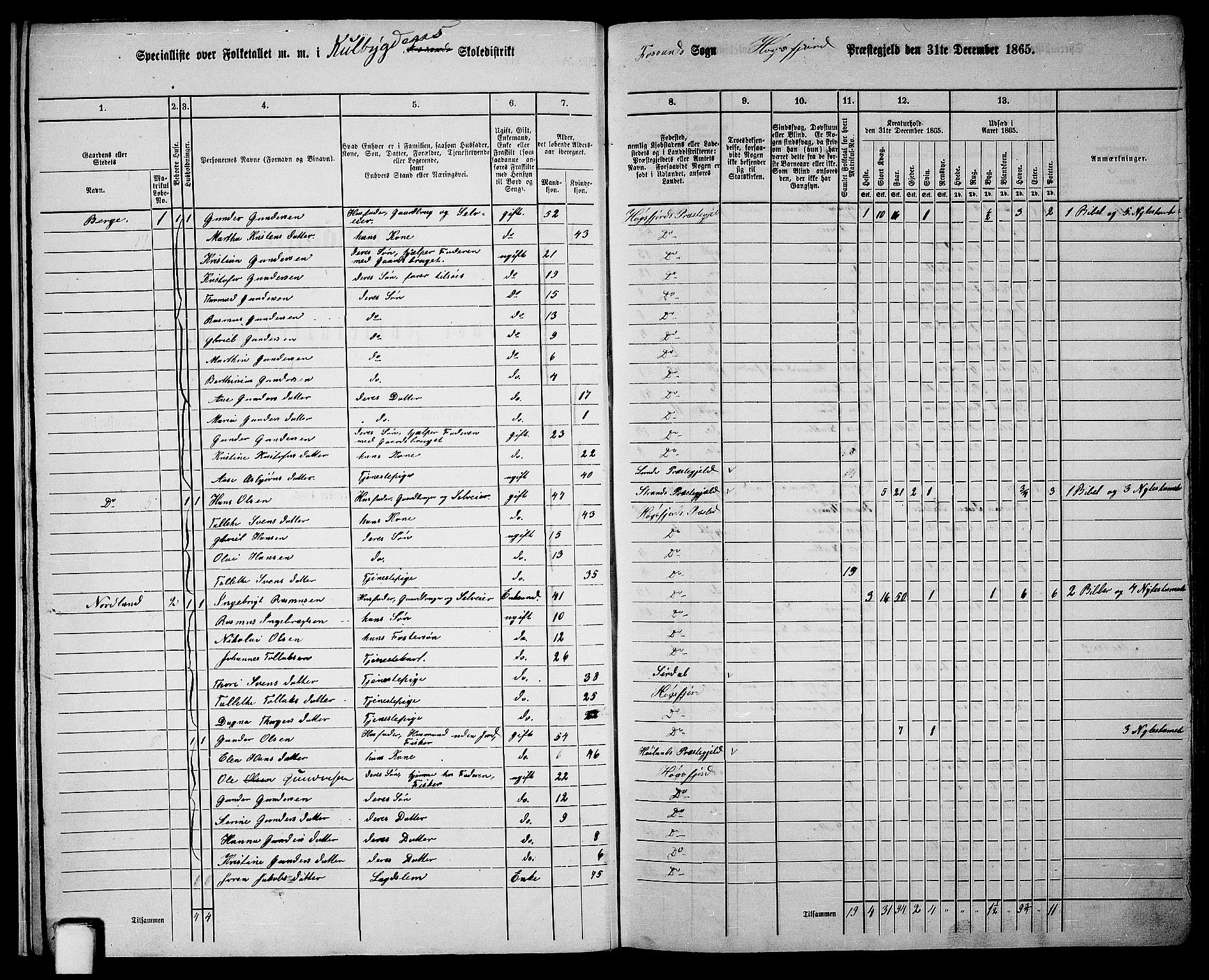 RA, 1865 census for Høgsfjord, 1865, p. 10