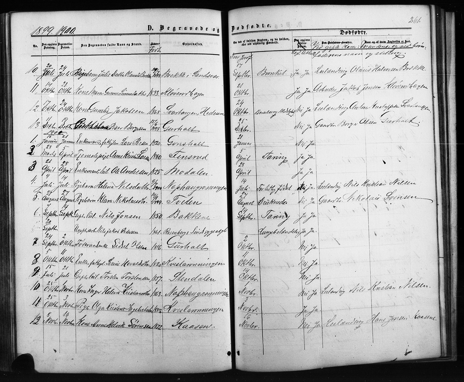 Siljan kirkebøker, AV/SAKO-A-300/G/Ga/L0002: Parish register (copy) no. 2, 1864-1908, p. 261
