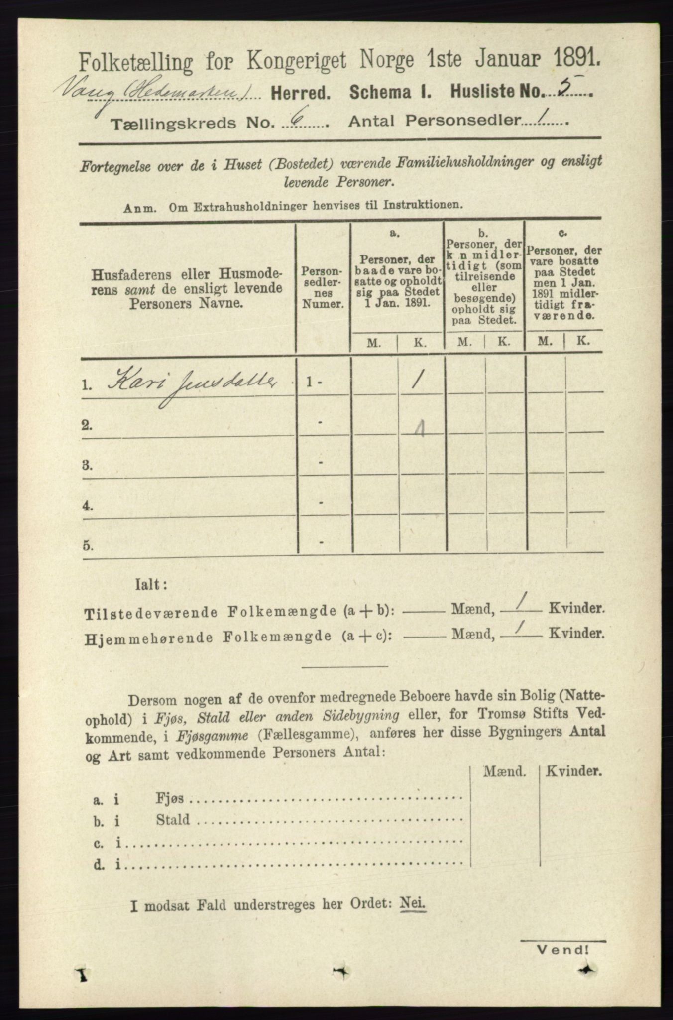 RA, 1891 census for 0414 Vang, 1891, p. 4173