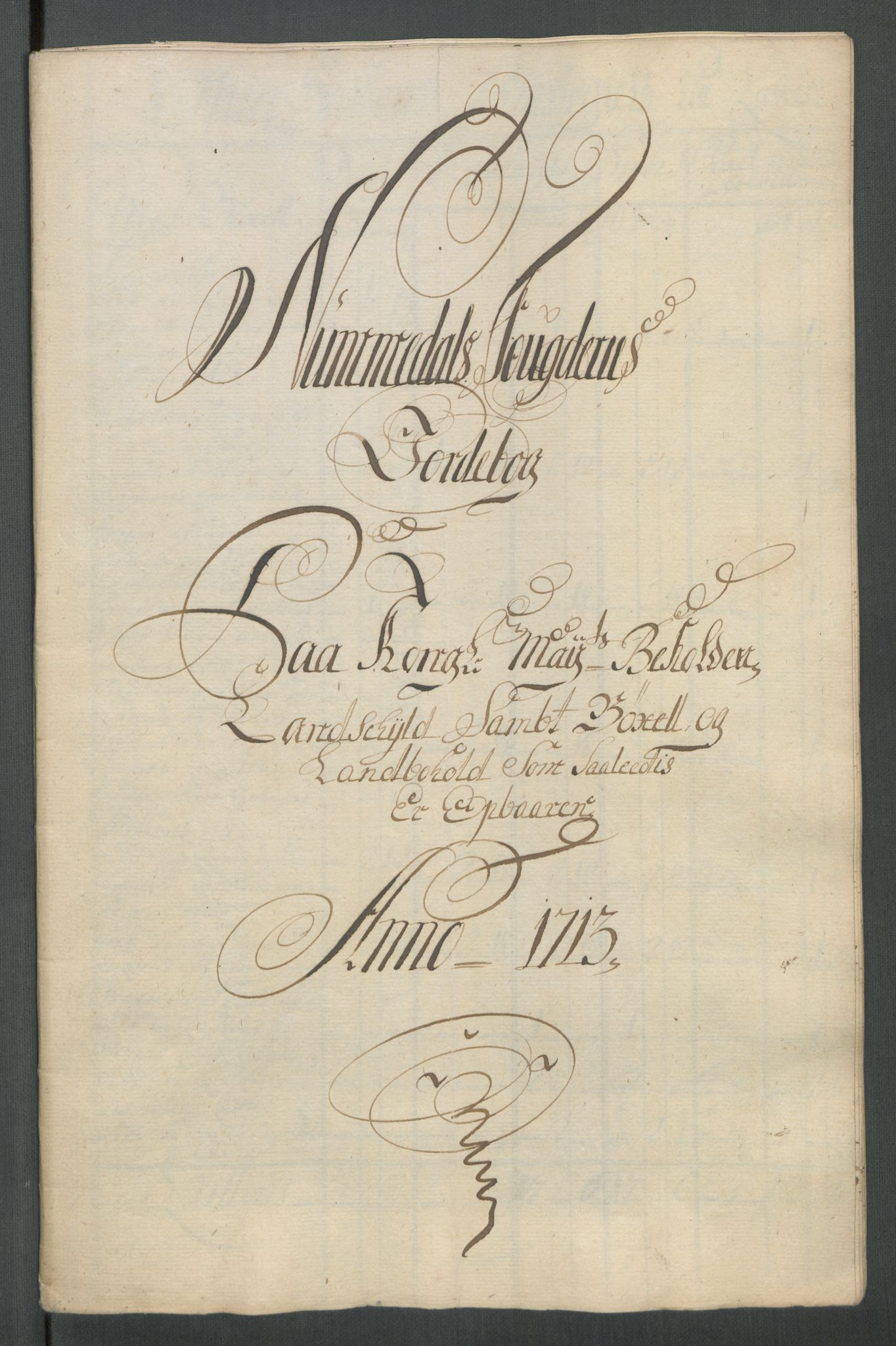 Rentekammeret inntil 1814, Reviderte regnskaper, Fogderegnskap, AV/RA-EA-4092/R64/L4434: Fogderegnskap Namdal, 1713, p. 165