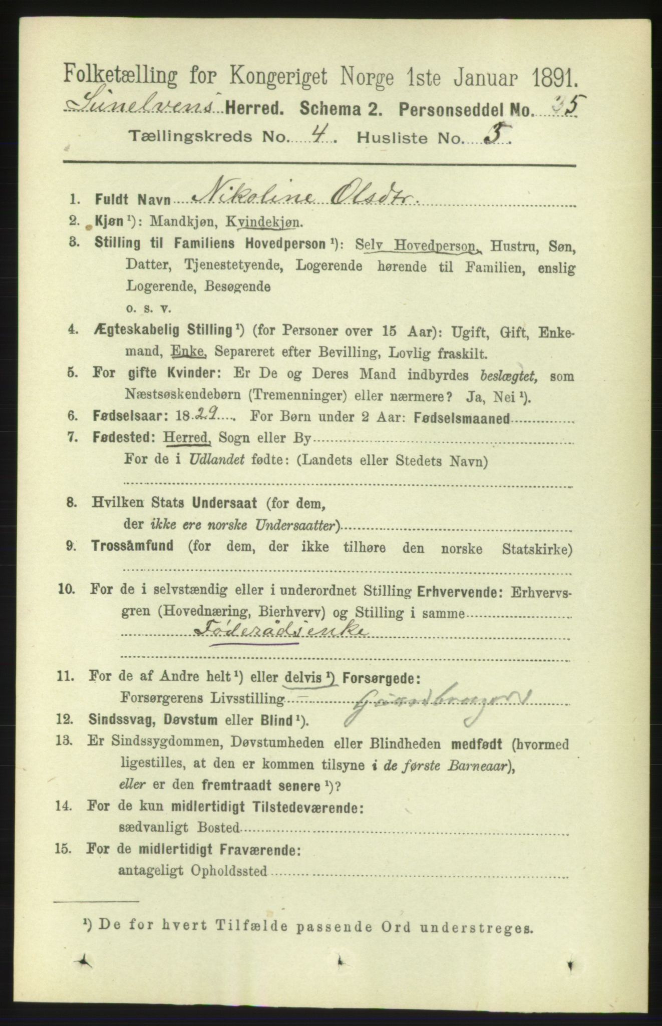 RA, 1891 census for 1523 Sunnylven, 1891, p. 891