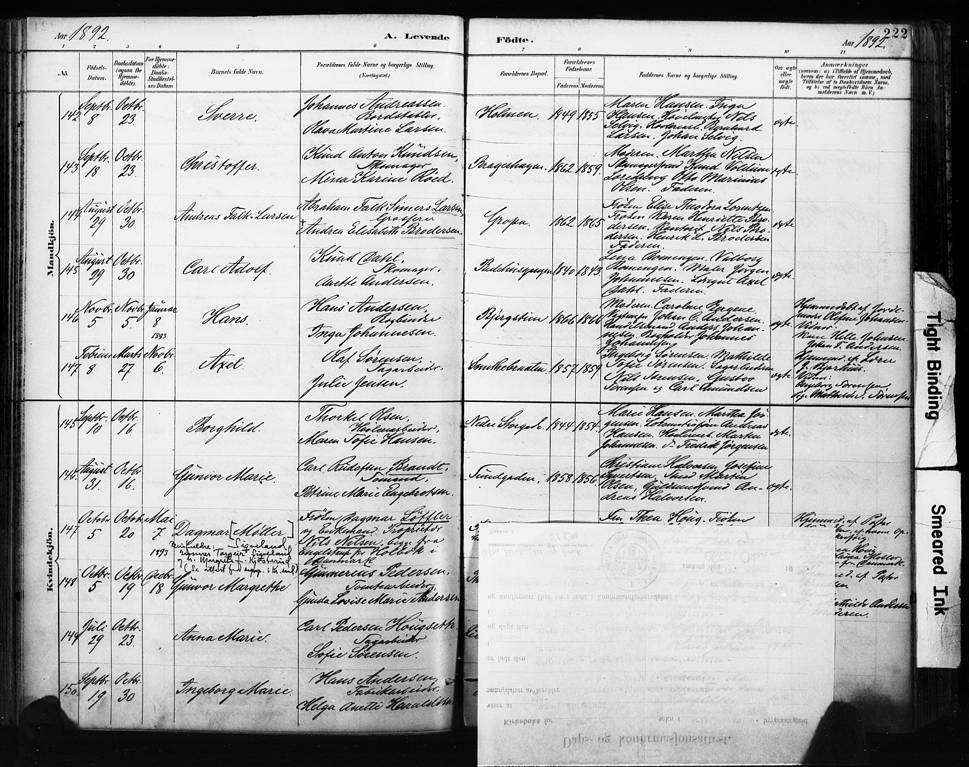 Bragernes kirkebøker, AV/SAKO-A-6/F/Fb/L0007: Parish register (official) no. II 7, 1885-1893, p. 222