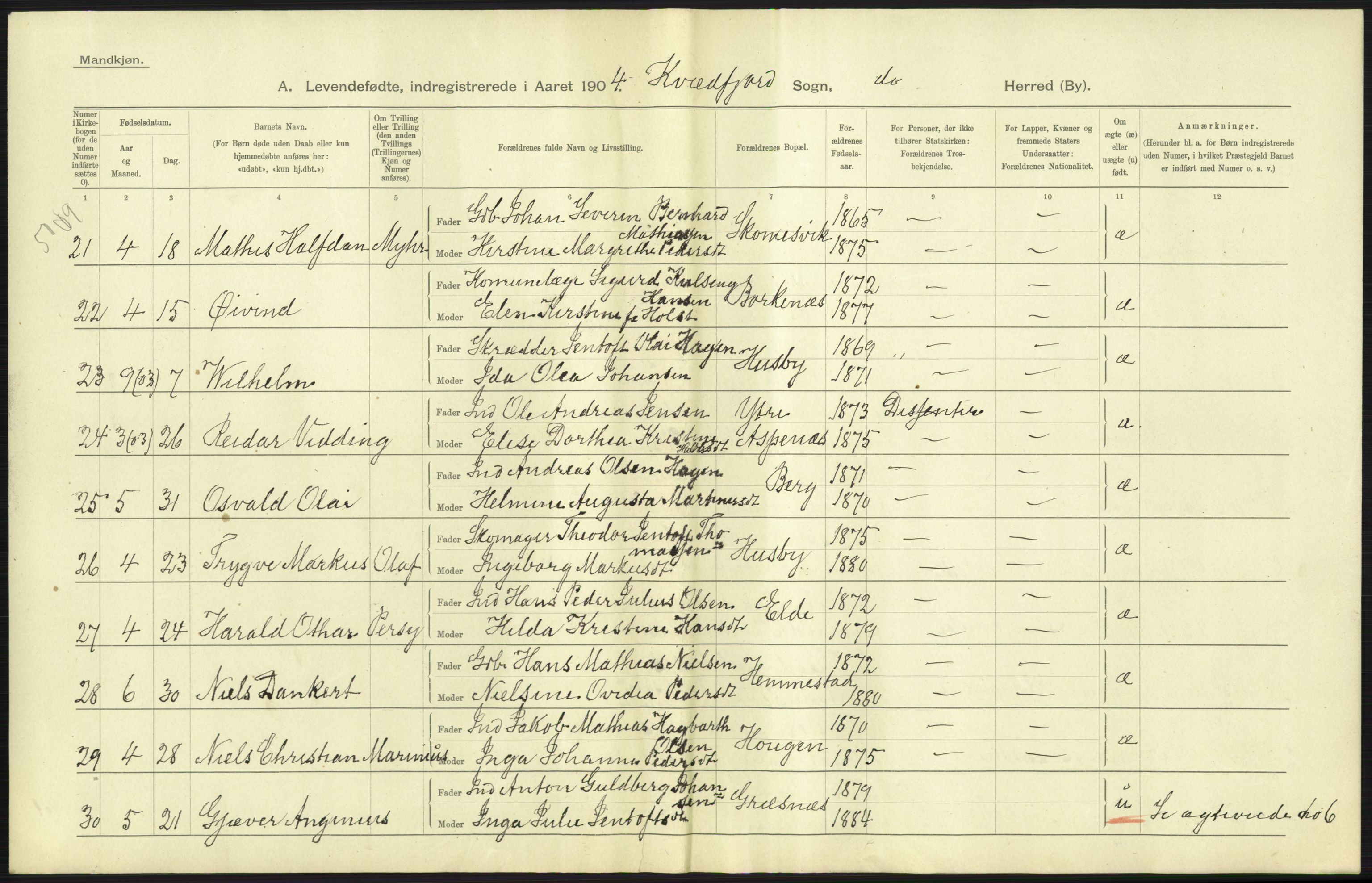 Statistisk sentralbyrå, Sosiodemografiske emner, Befolkning, AV/RA-S-2228/D/Df/Dfa/Dfab/L0022: Tromsø amt: Fødte, gifte, døde, 1904, p. 11