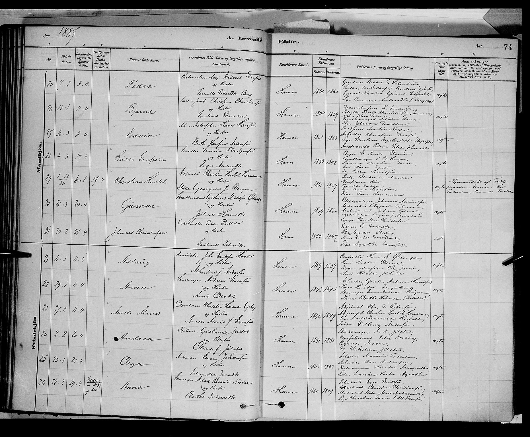 Vang prestekontor, Hedmark, AV/SAH-PREST-008/H/Ha/Haa/L0016: Parish register (official) no. 16, 1878-1889, p. 74