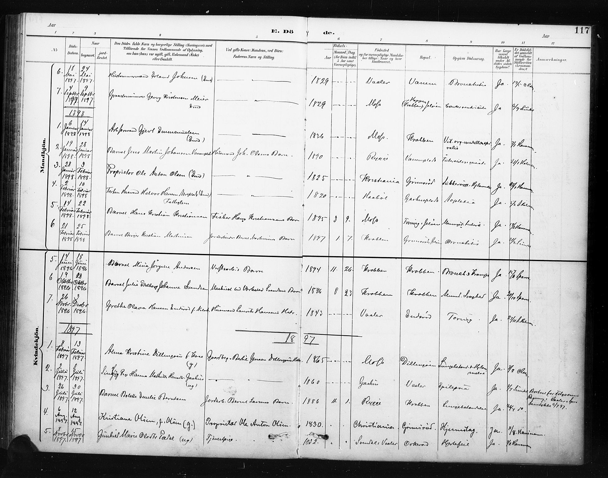 Moss prestekontor Kirkebøker, AV/SAO-A-2003/F/Fc/L0002: Parish register (official) no. III 2, 1894-1906, p. 117