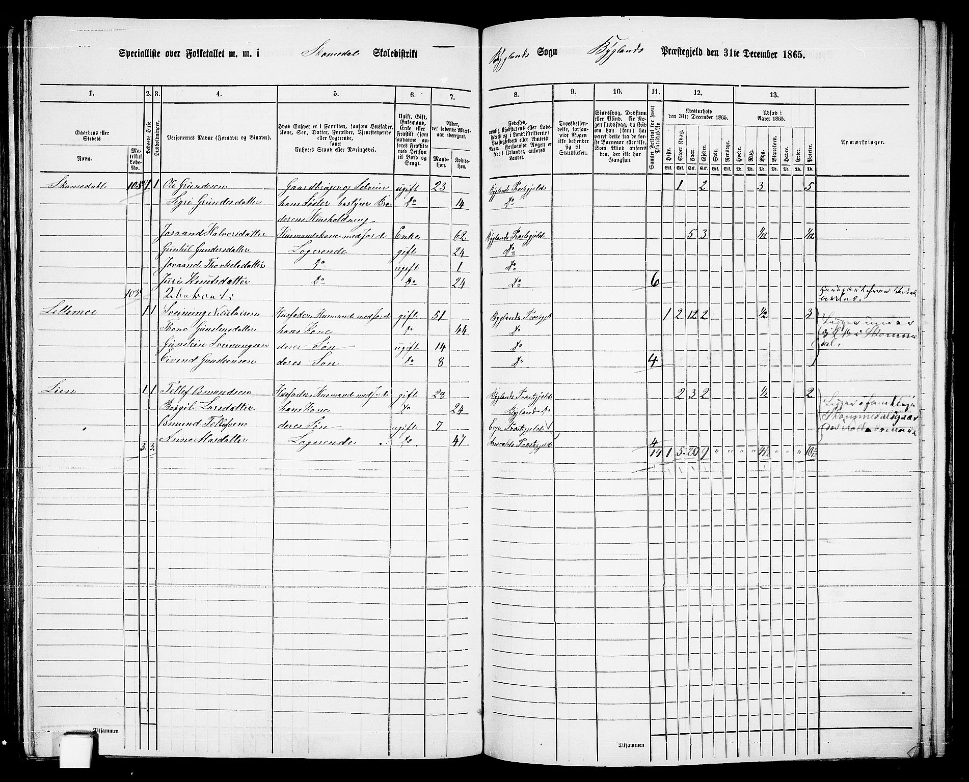 RA, 1865 census for Bygland, 1865, p. 54
