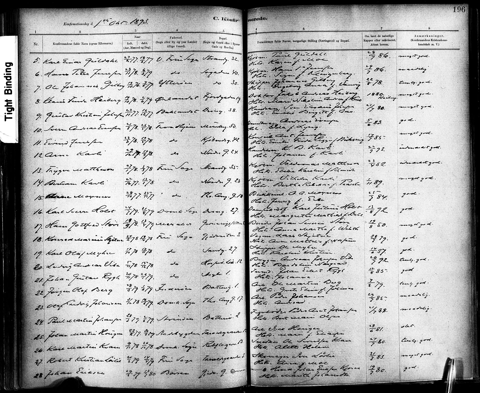 Ministerialprotokoller, klokkerbøker og fødselsregistre - Sør-Trøndelag, SAT/A-1456/602/L0119: Parish register (official) no. 602A17, 1880-1901, p. 196